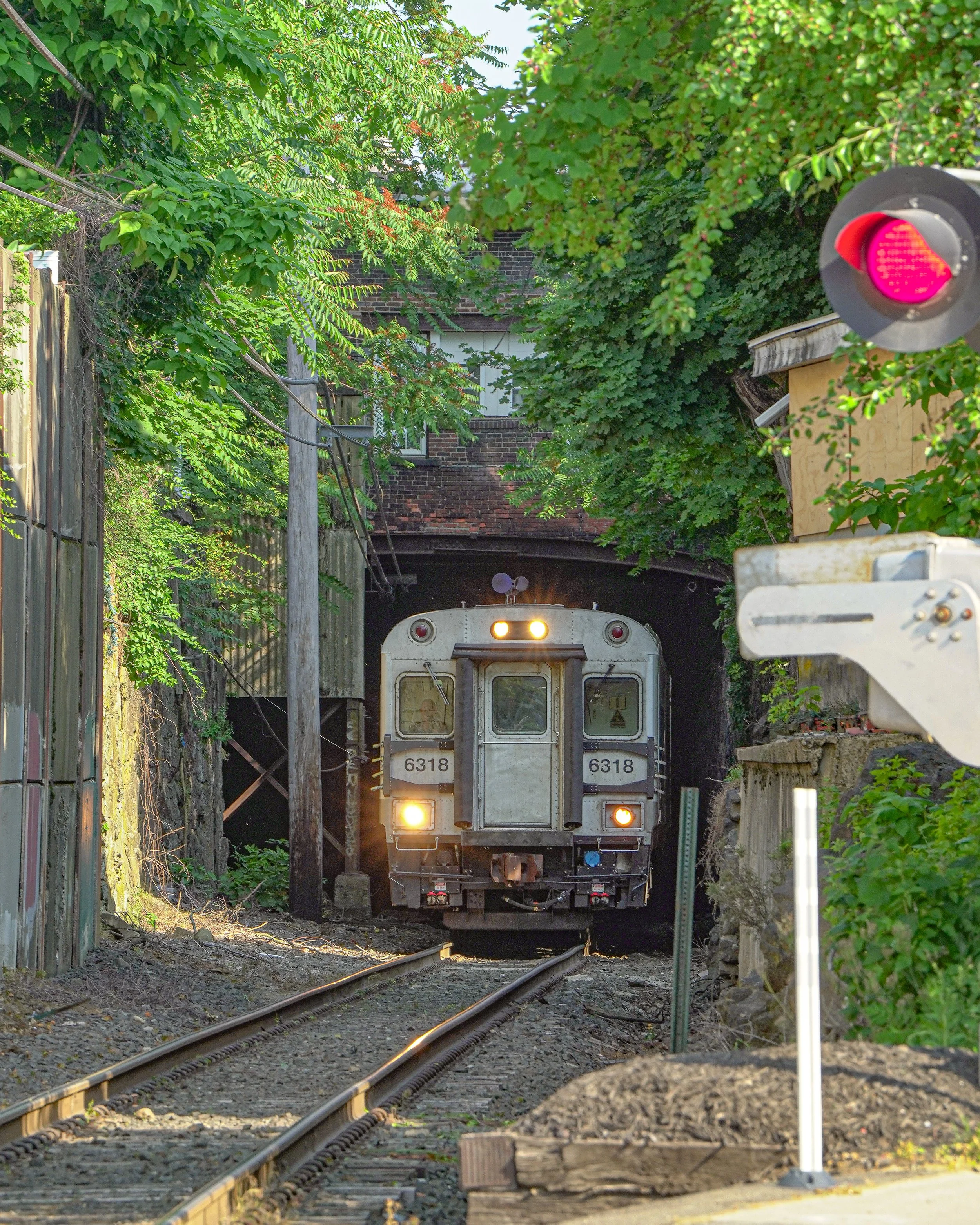 A train emerging from a tunnel on railway tracks surrounded by green trees and foliage, with a signal light visible on the right side.
