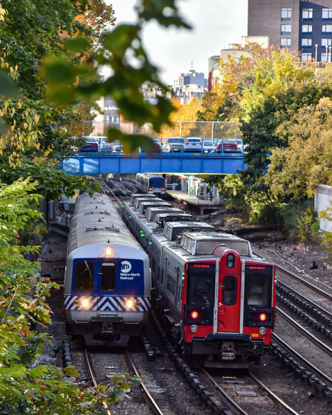 Two subway trains on parallel tracks with trees on either side and a blue bridge with parked cars overhead, city buildings in the background.