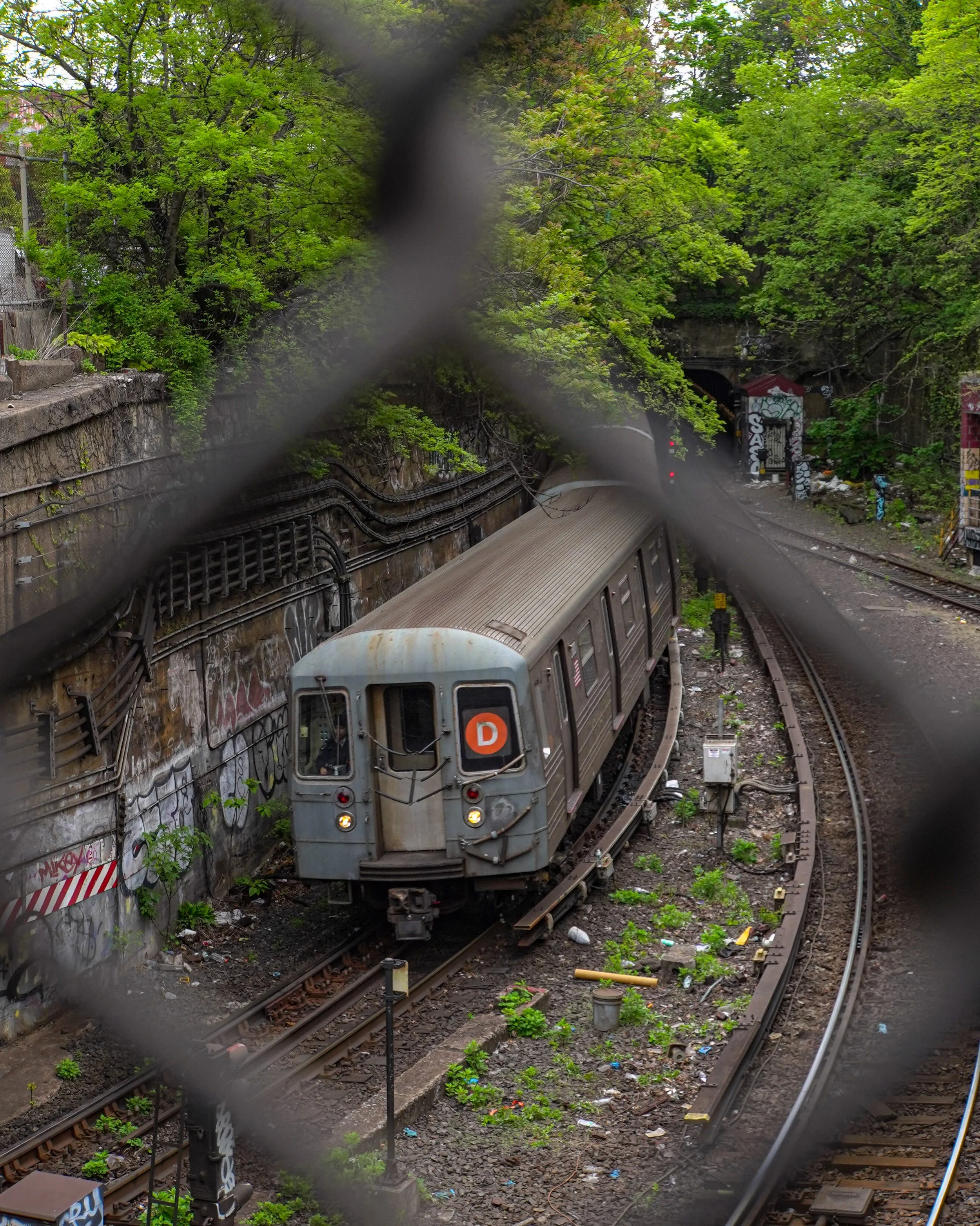 View of a subway train through a chain-link fence, on tracks lined with graffiti and surrounded by greenery.