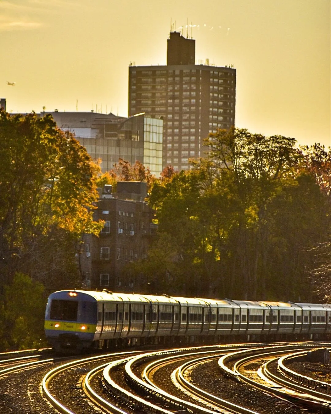 A train traveling on elevated tracks at sunset with city buildings and trees in the background.