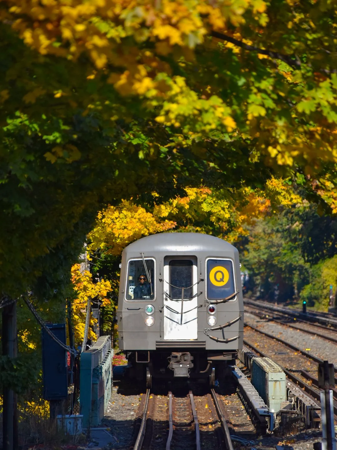 A train with a yellow 'Q' sign on its front traveling on tracks surrounded by colorful fall foliage.