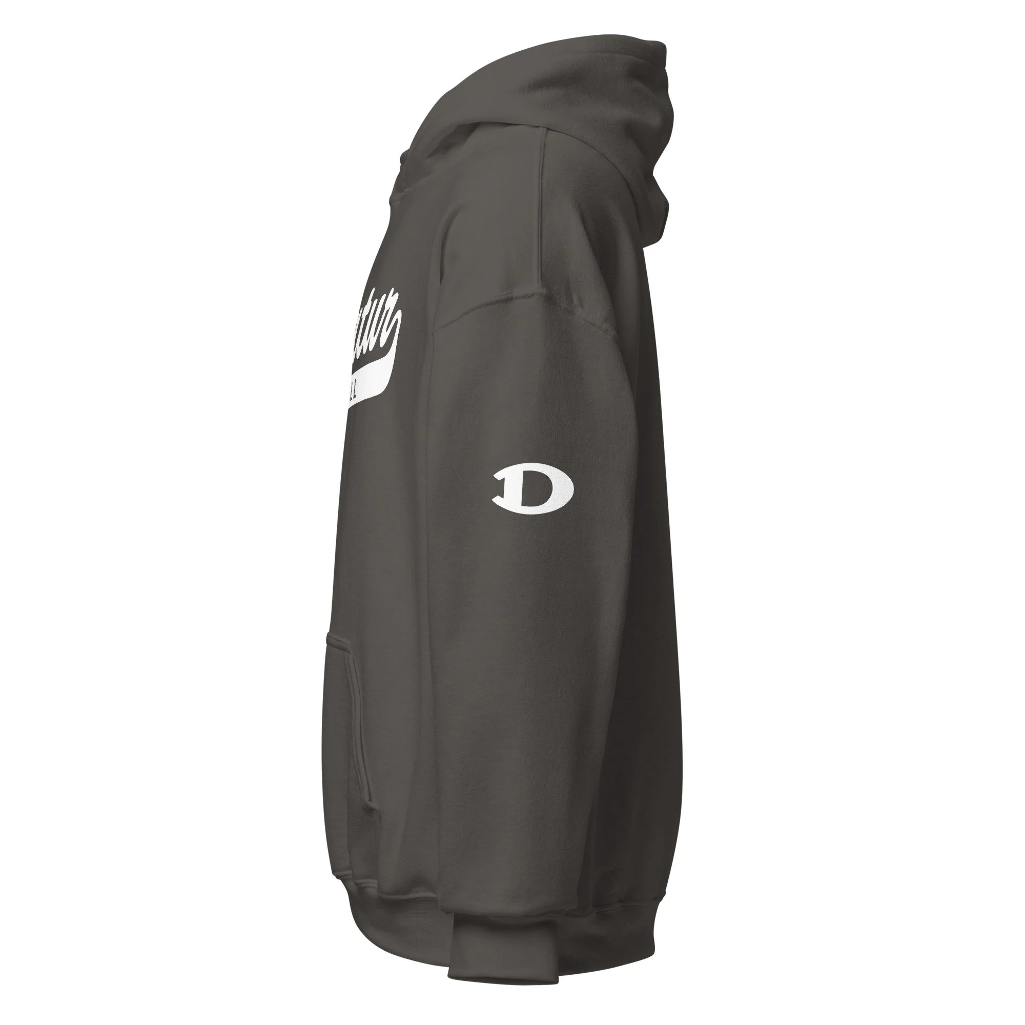 unisex-heavy-blend-hoodie-charcoal-left-6936f28fa2ecf.jpg