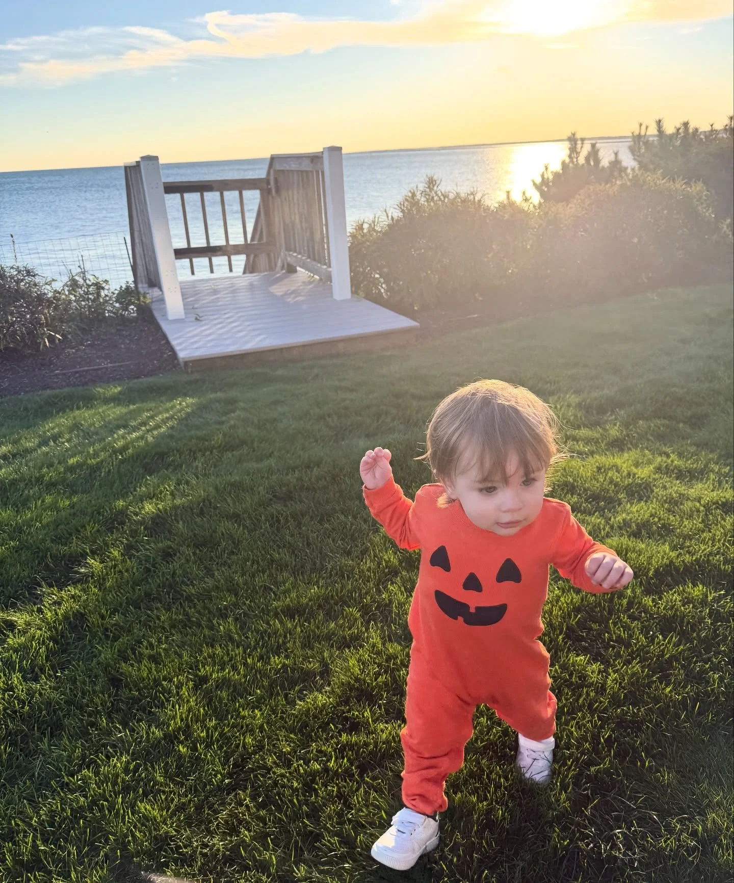 Happy Halloween! 🎃 No tricks or frights here, just one baby pumpkin on the loose!