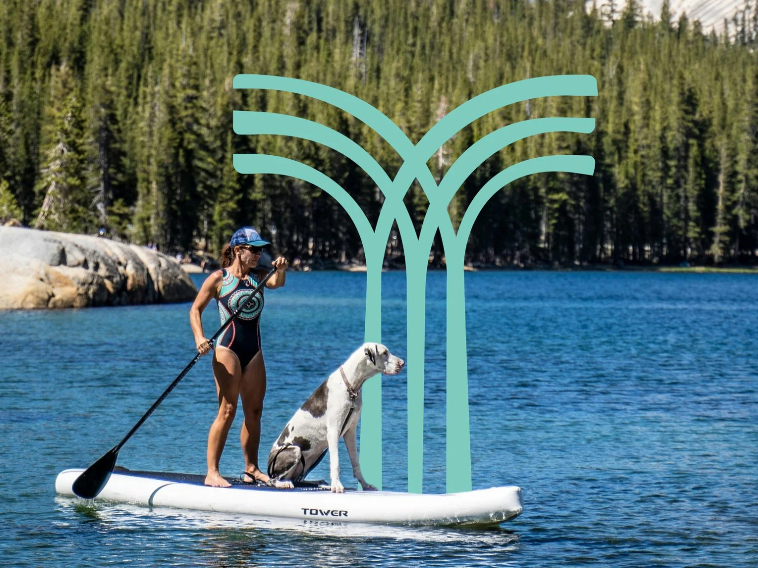 Widening the Waters: A New Chapter for Yosemite Rivers