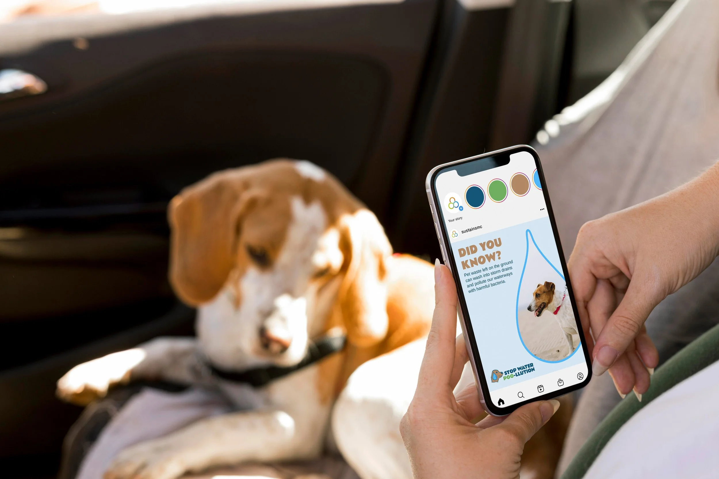 Hand holding phone looking at @sustainsmc Instagram photo of Stop Water Poo-llution campaign