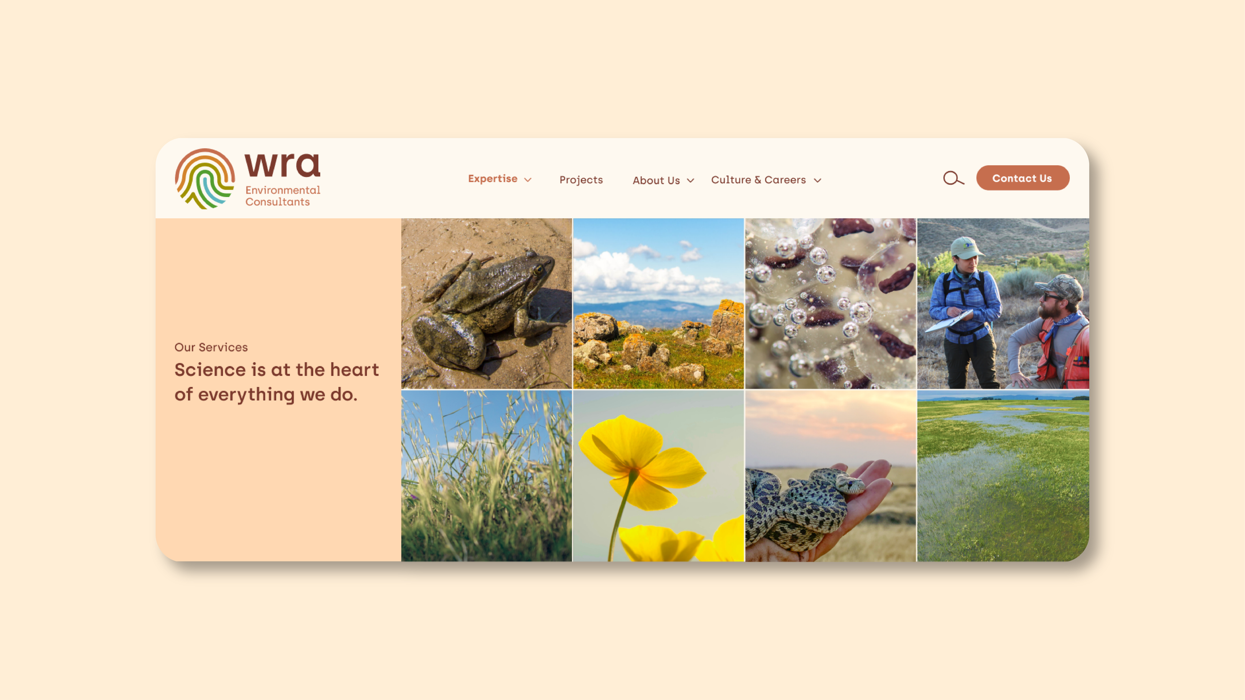WRA+Casestudy+Website+Banner+1.png