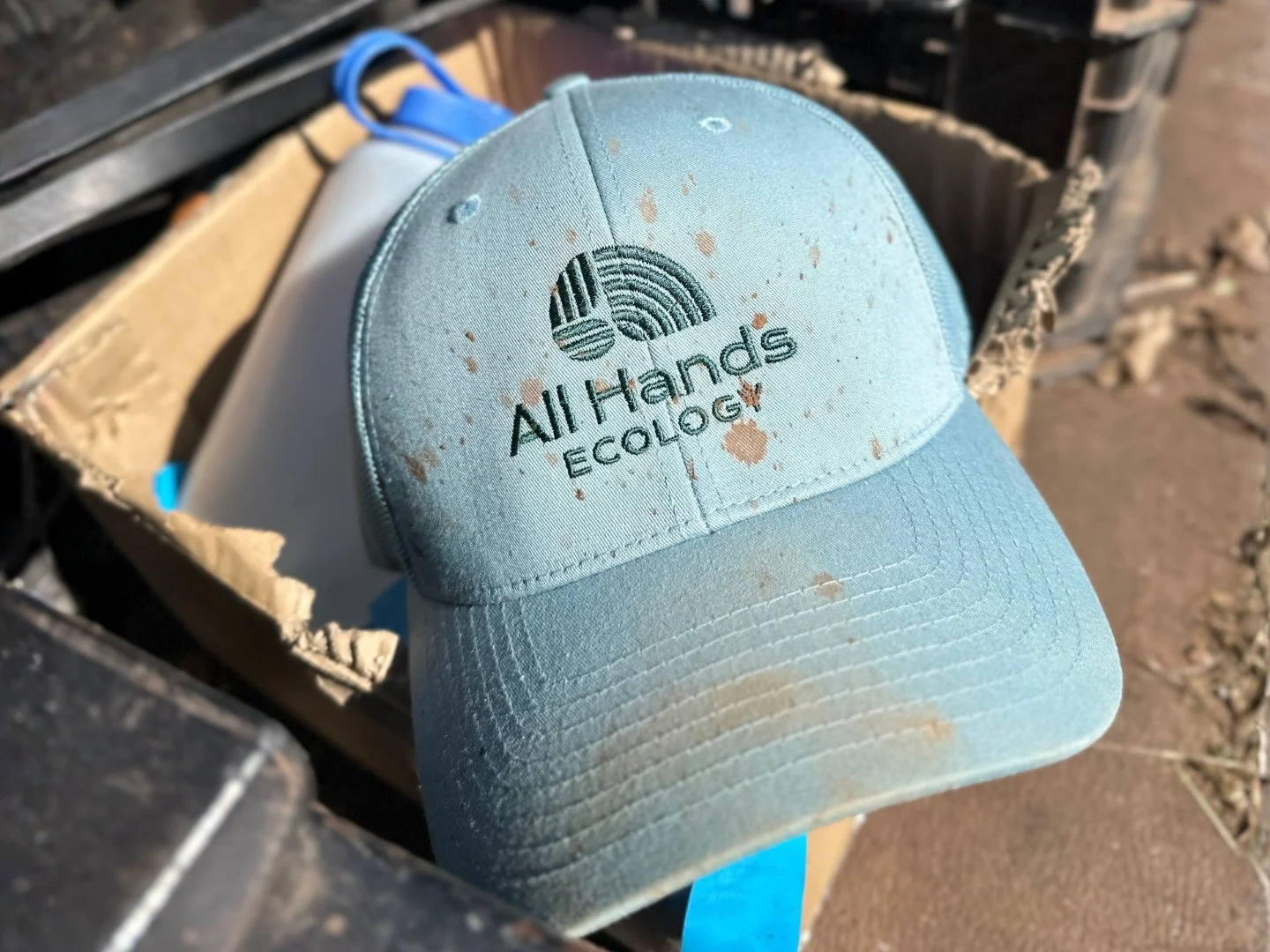 All+Hands+Case+Study+Hat.jpg