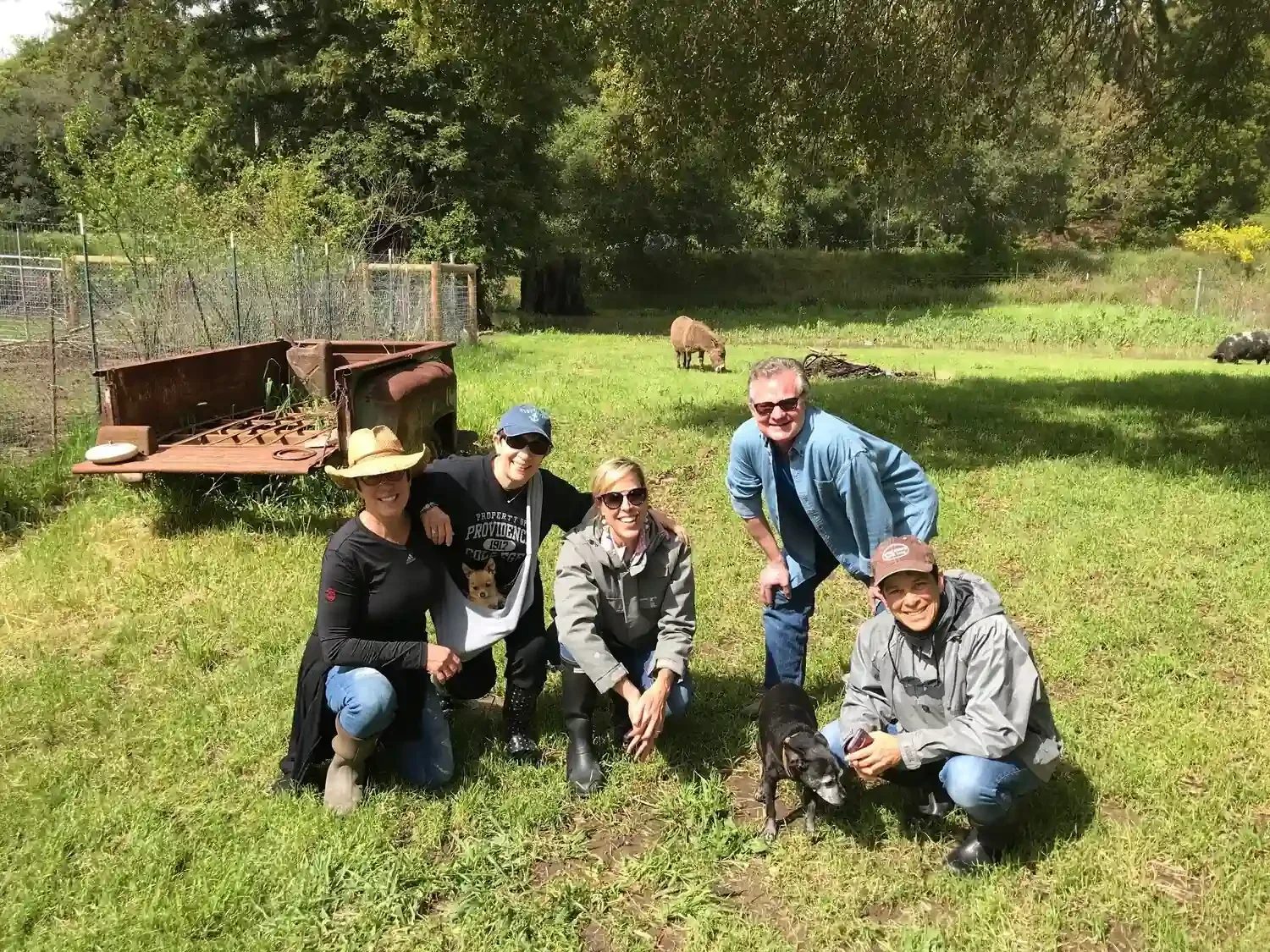 A group of people pose for a photo in a field with animals behind them.