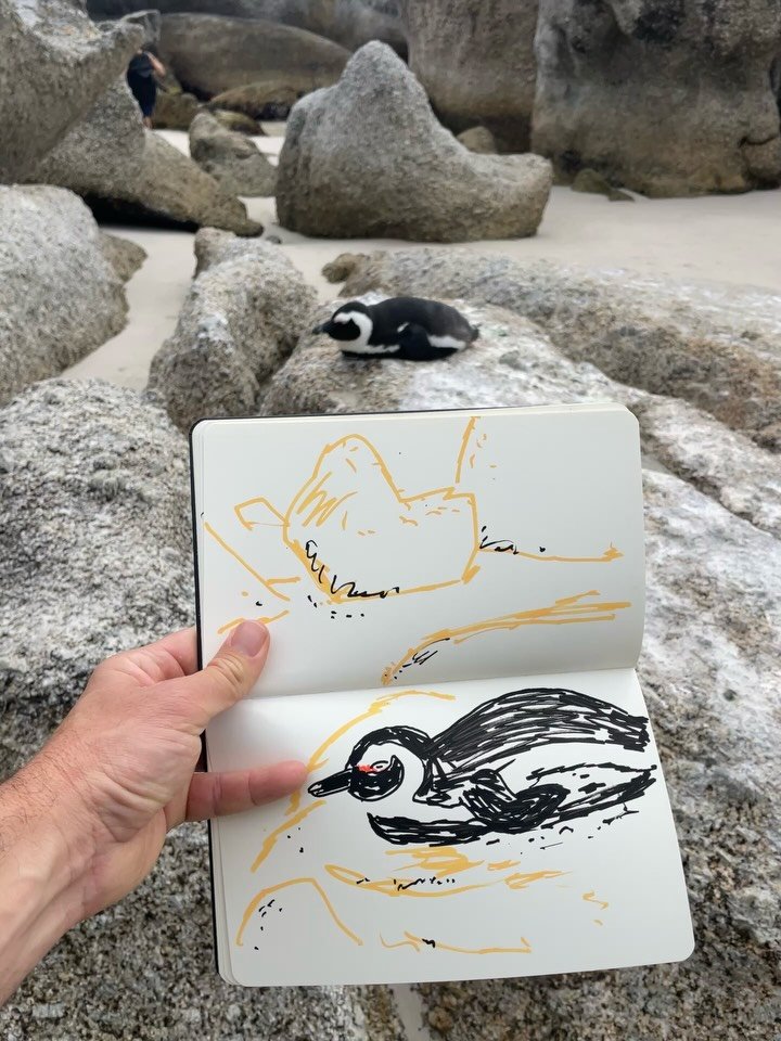 Drawing Penguins on Boulders beach in the Western Cape. 

#penguin🐧 #bouldersbeach #southafrica🇿🇦