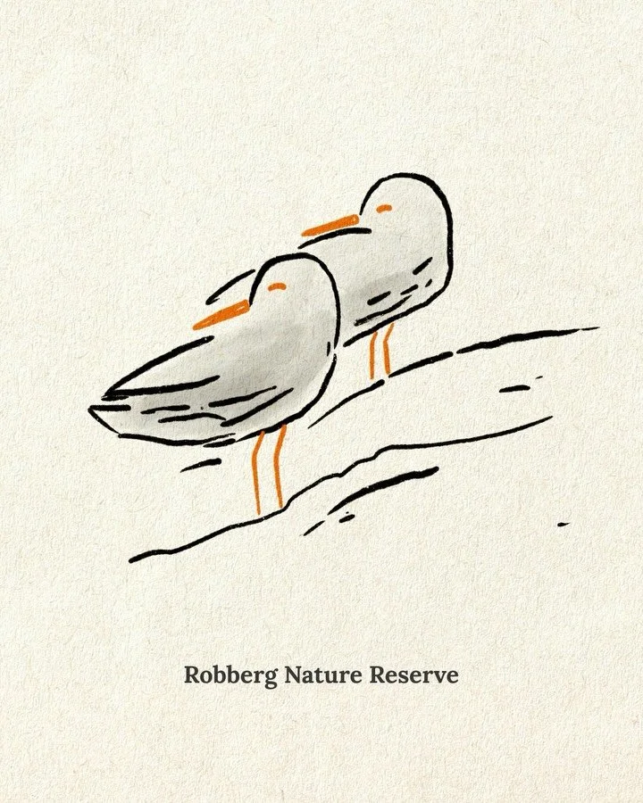 A few weeks ago we did the Robberg Nature trail here in the Western Cape. It took us 5.5 hours and we got to see lots of beautiful coastal scenes, seals and birds. It was a really hot day and we had to take care as @juliette_pixelated is 5 months pre