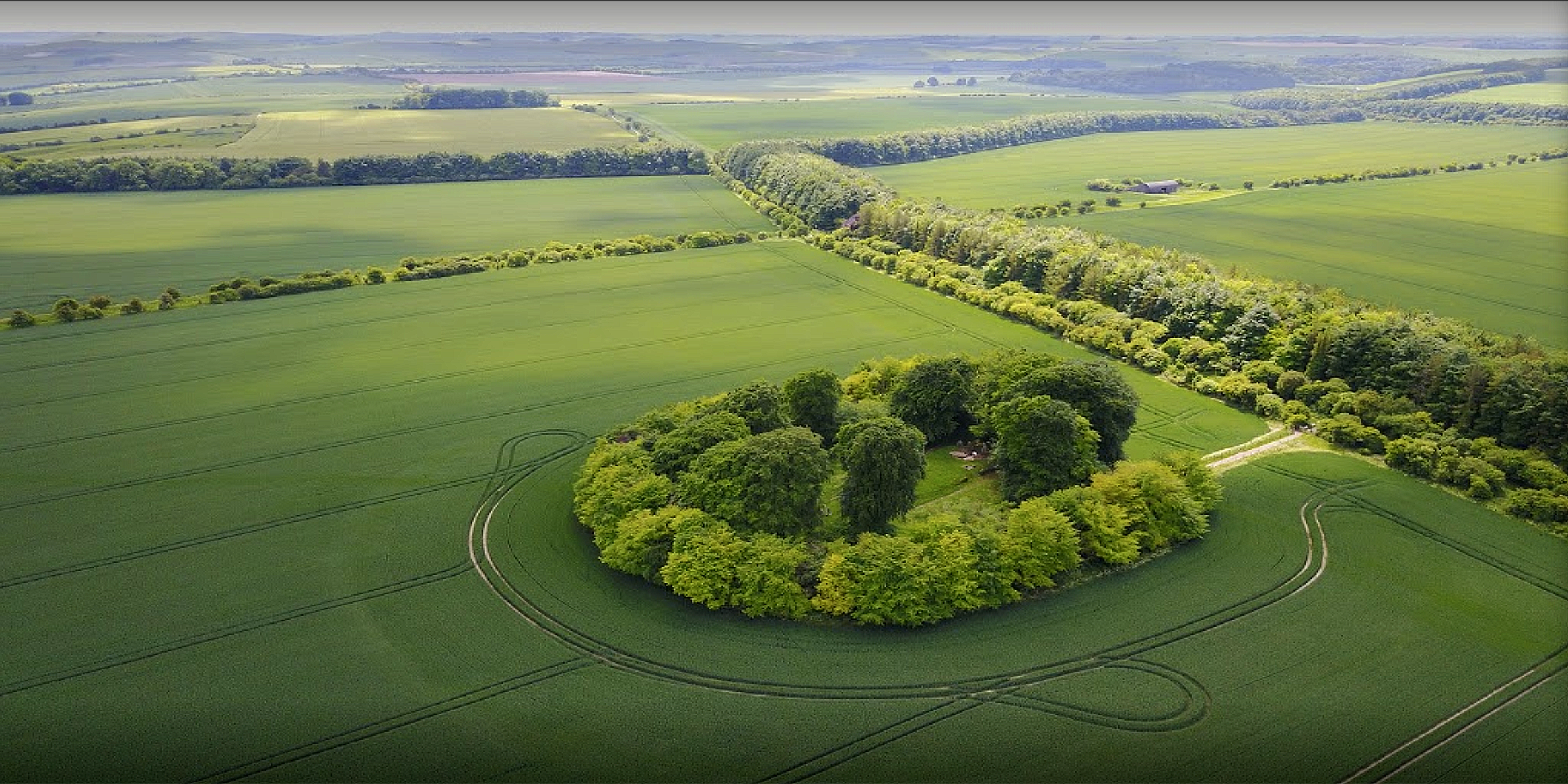  WAYLAN'S SMITHY  is a Neolithic burial and initiation site in Wiltshire, England. It includes a passage grave surrounded by a sacred grove of trees.