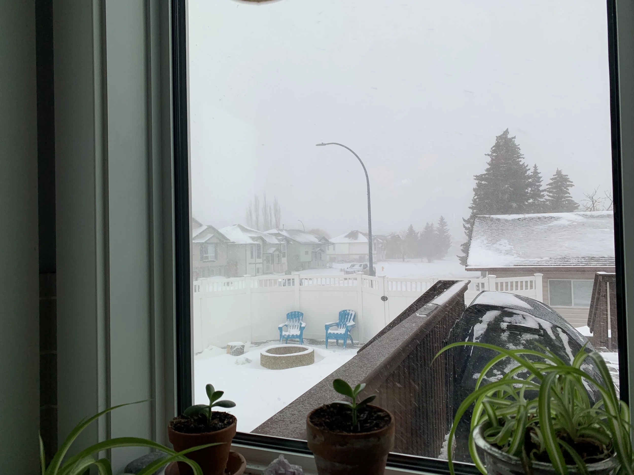 Sagittarius New Moon