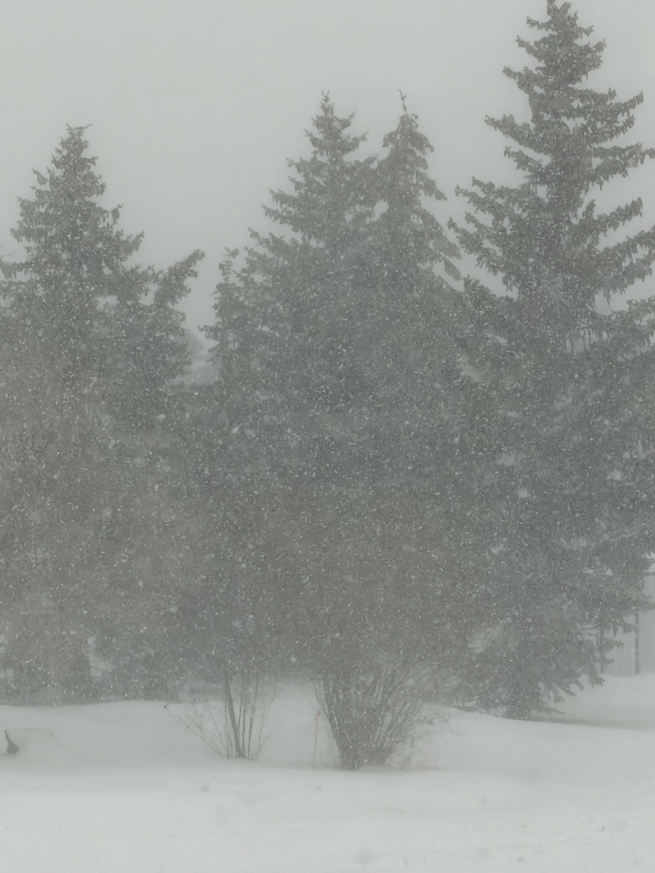 Aquarius Annular Solar Eclipse 2026