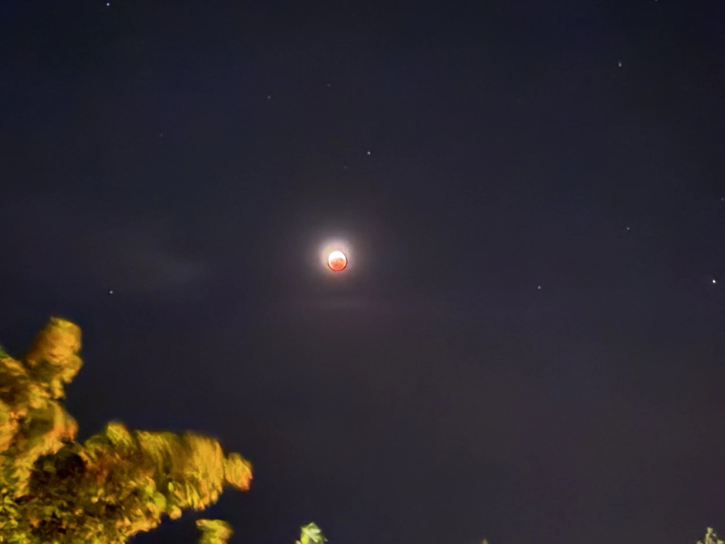 Pisces Partial Lunar Eclipse 2026