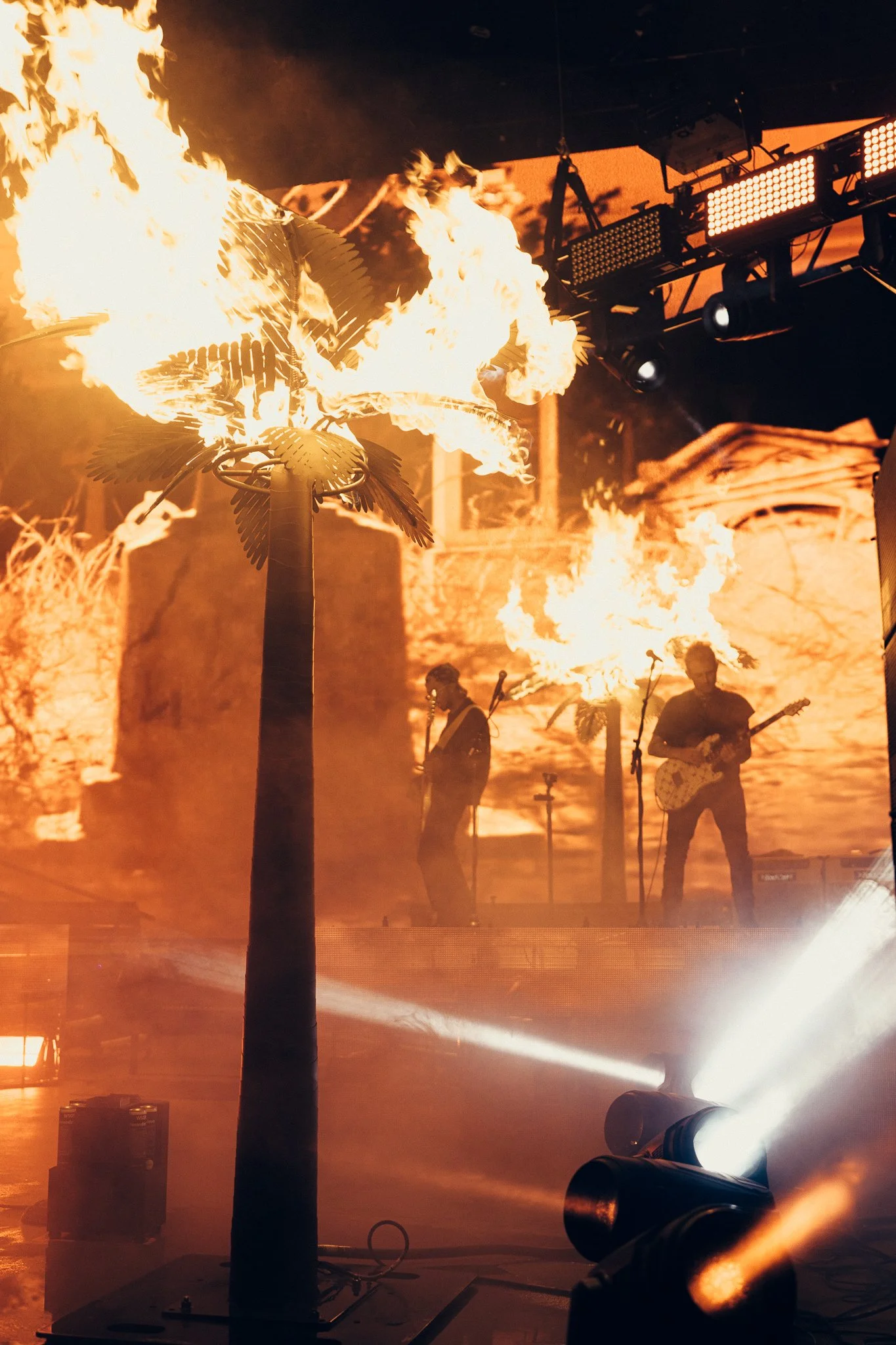 bear red rocks-62.JPG