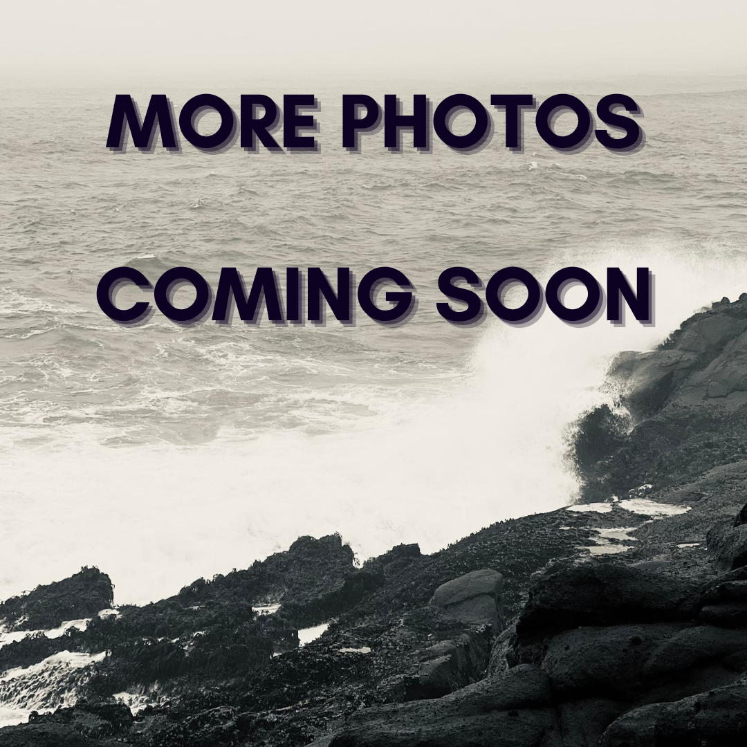 More Photos (1).png