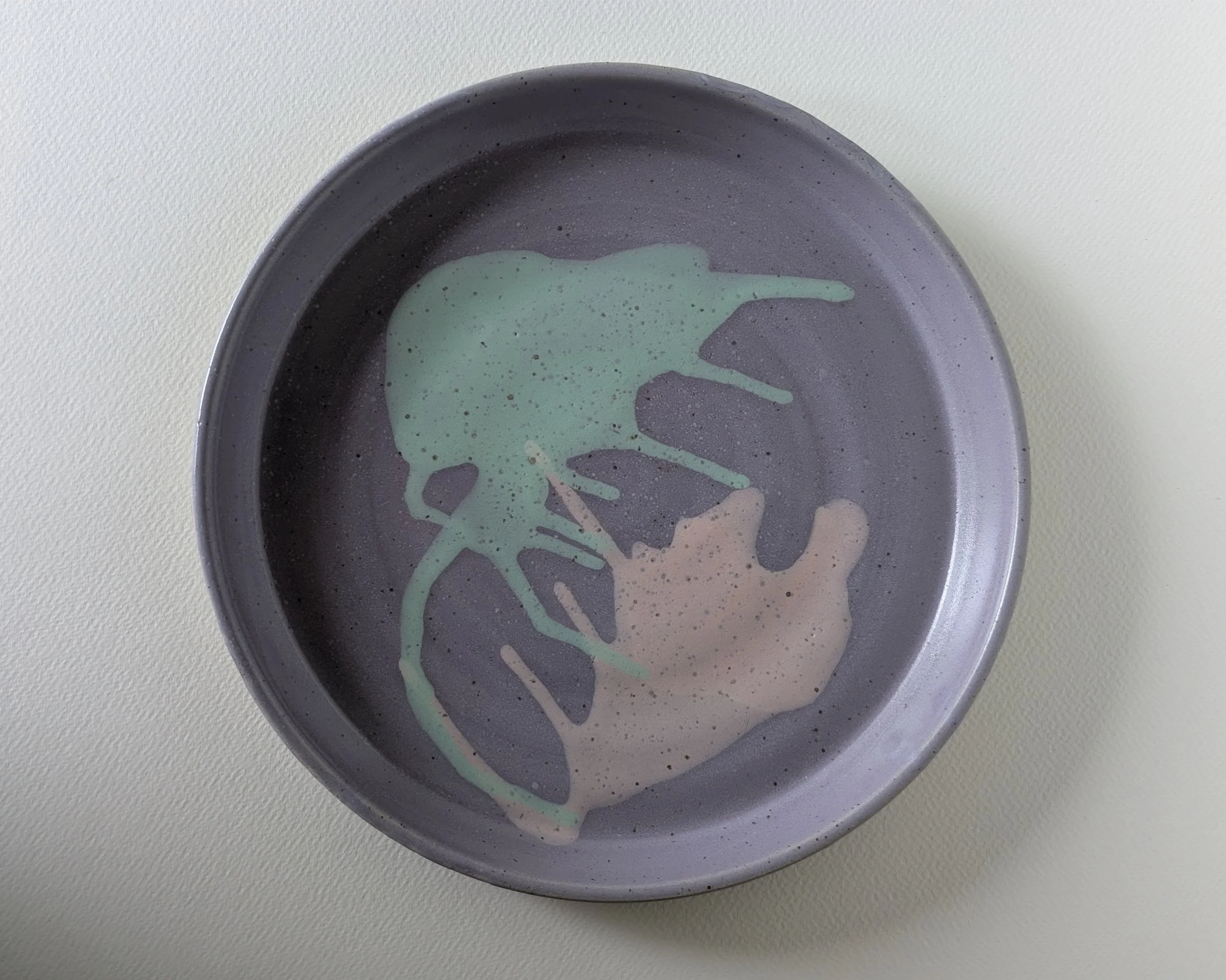 Colorful Dinner Plate