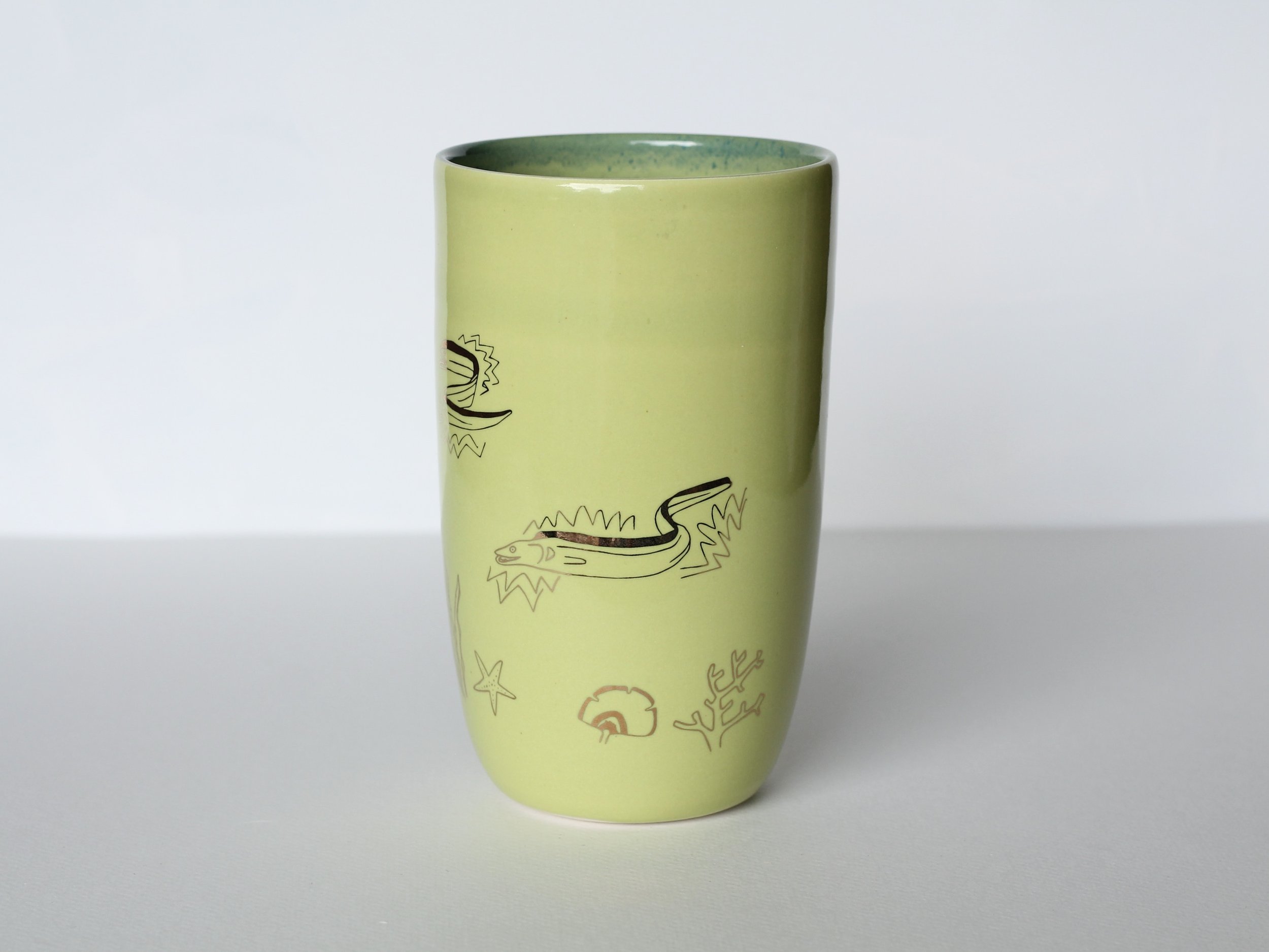 ⚡️ electrifying! eels!