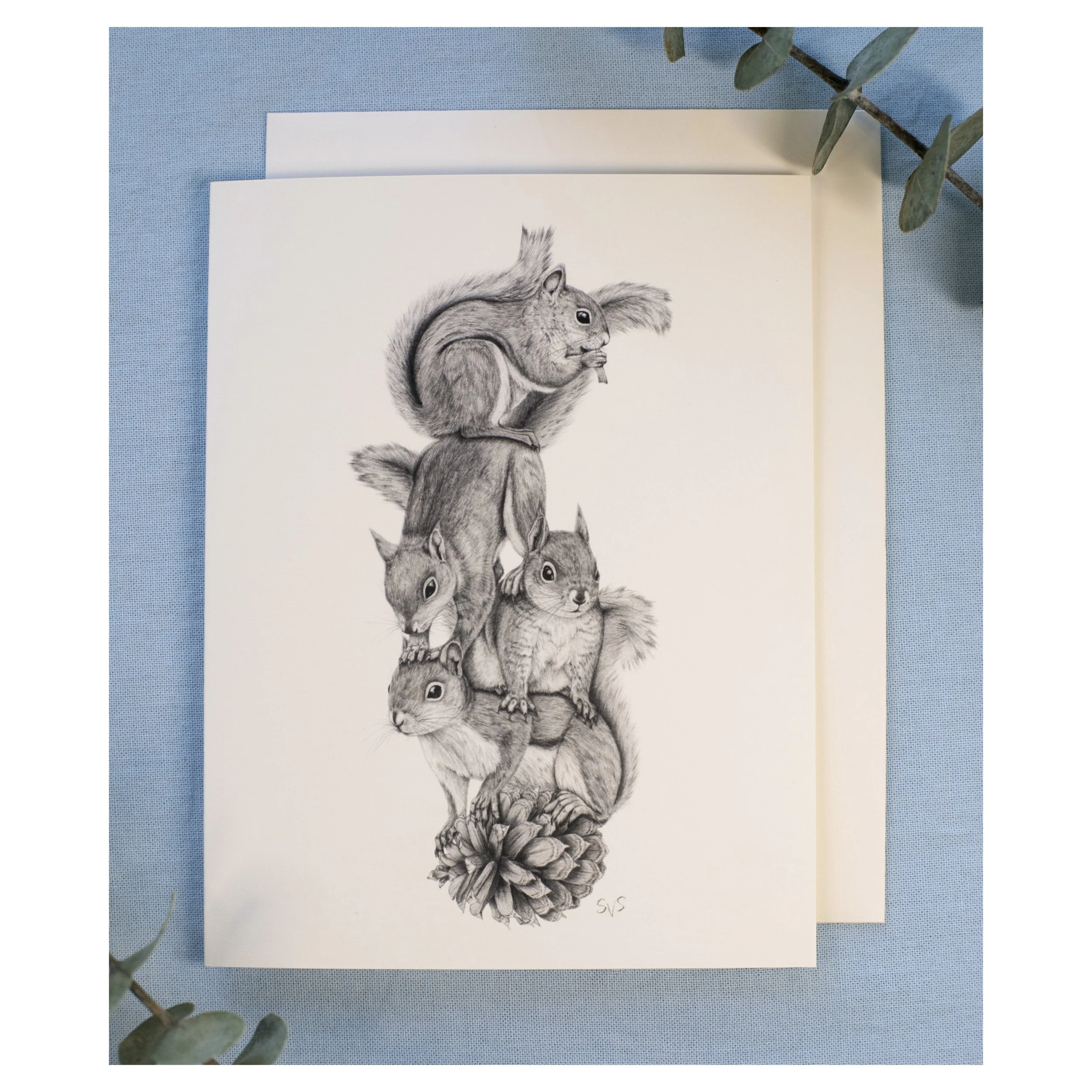 squirrel stack card for website.jpg