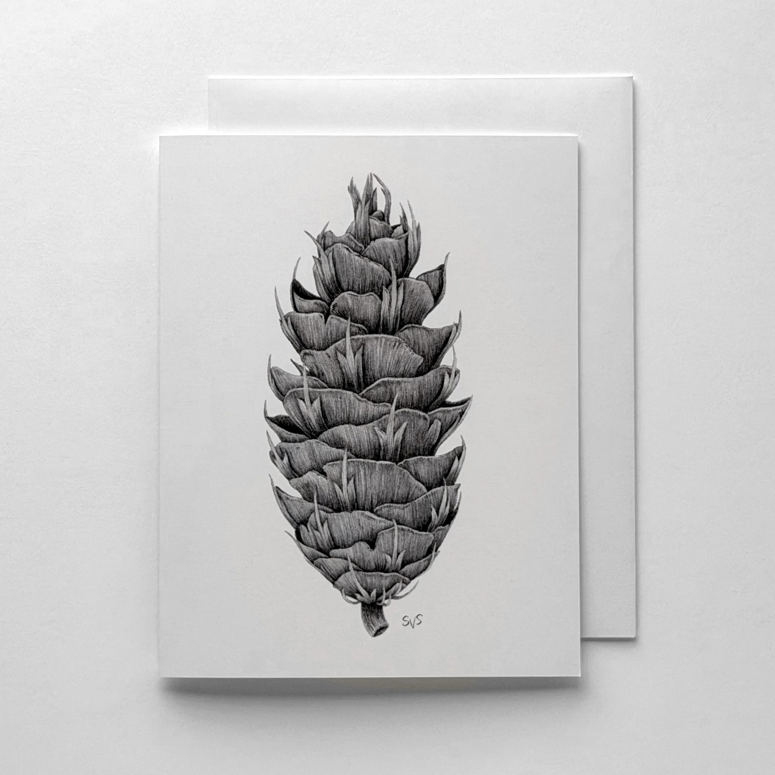 Common Douglas Fir Cone (Card Set)