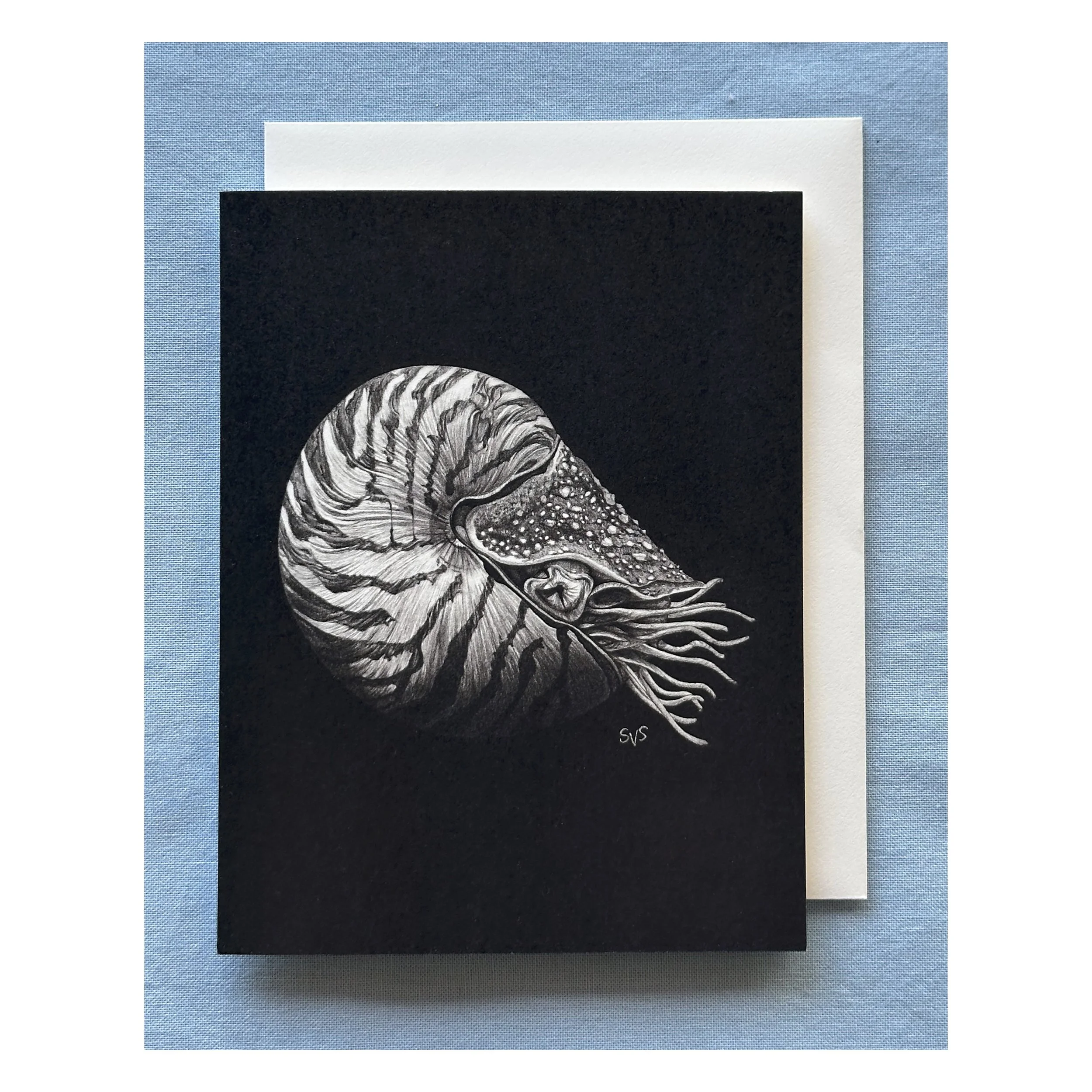 nautilus card for website.jpg