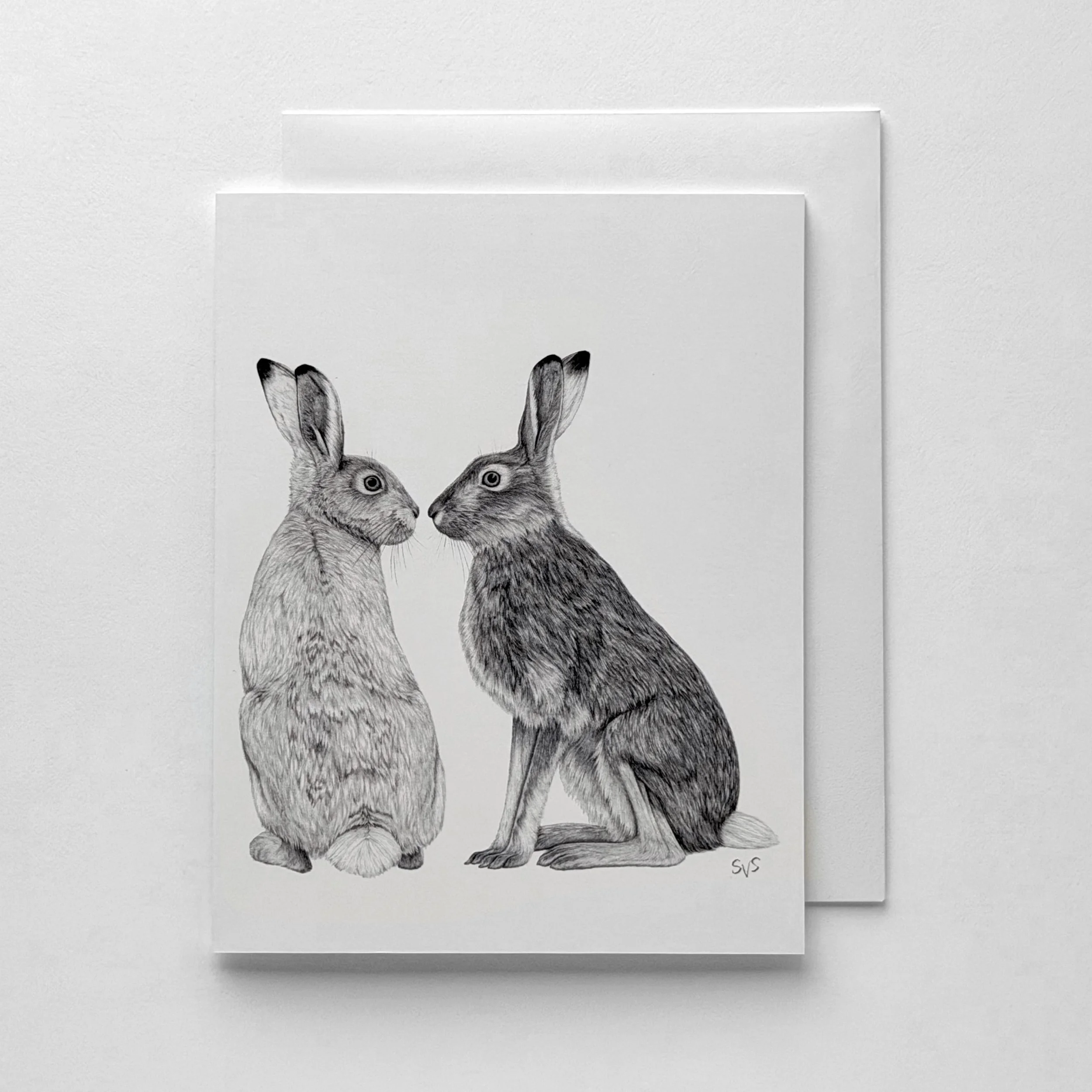 White-tailed Jackrabbit (Card Set)