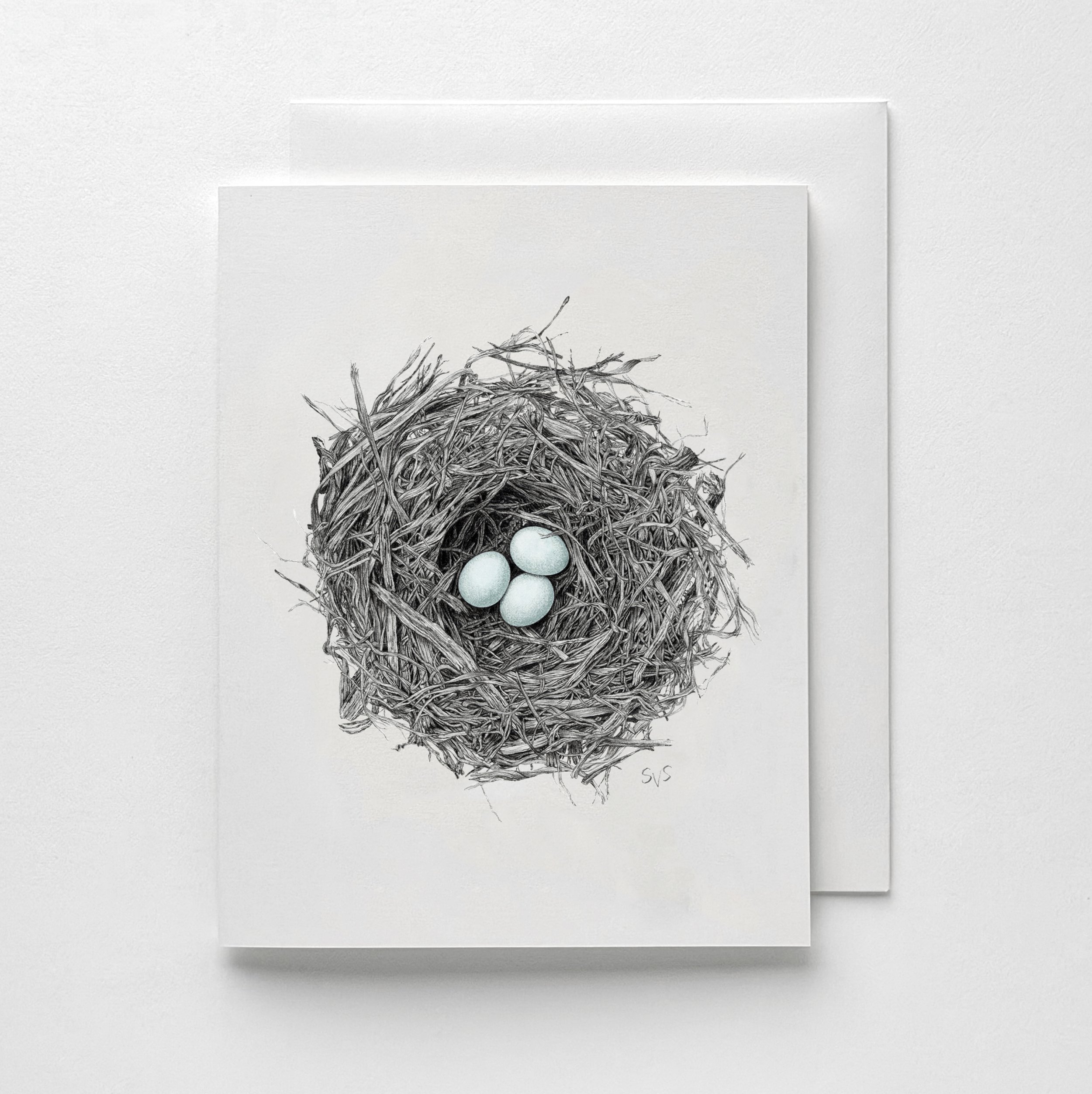 bluebird nest card mockup.jpg