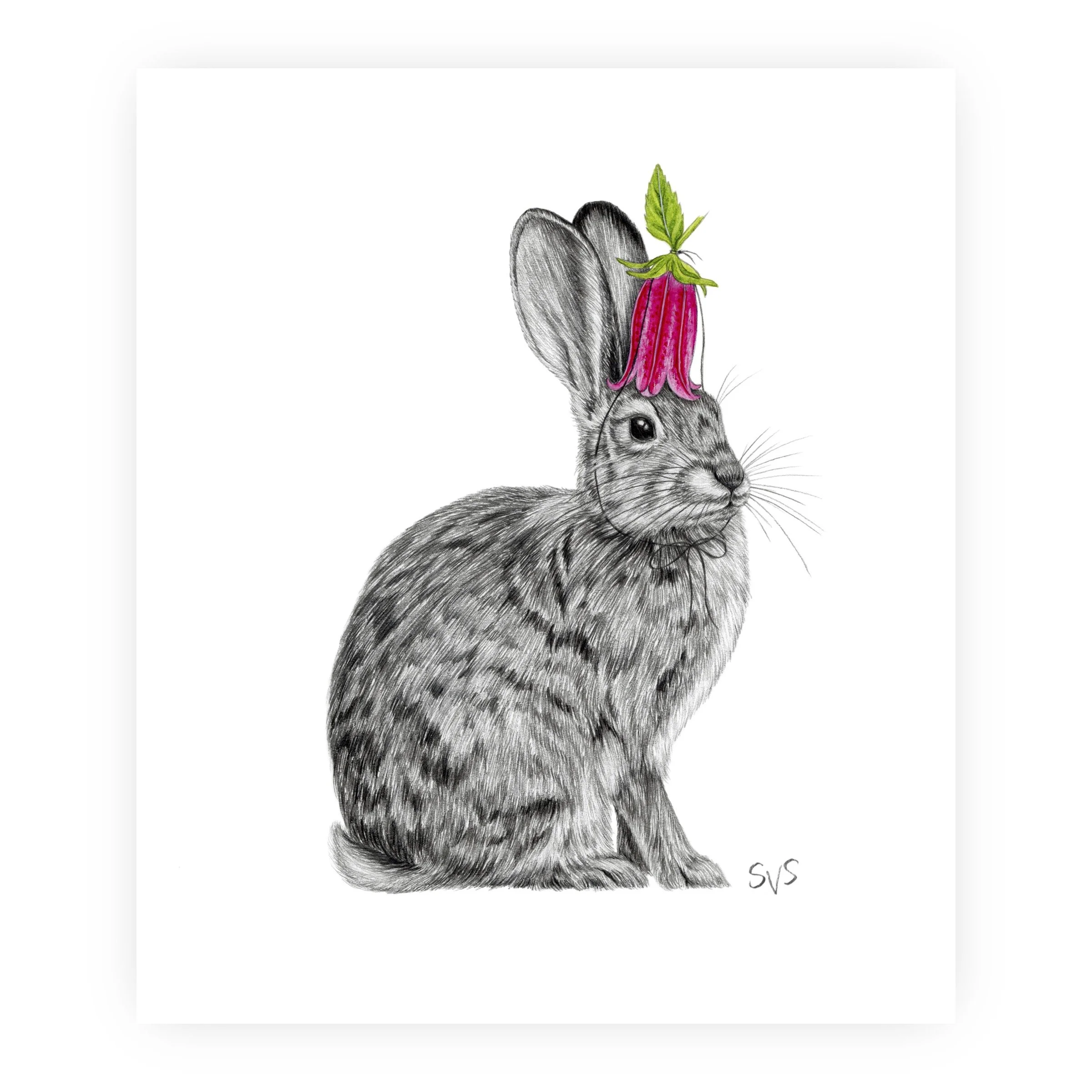 birthday bunny for website.jpg
