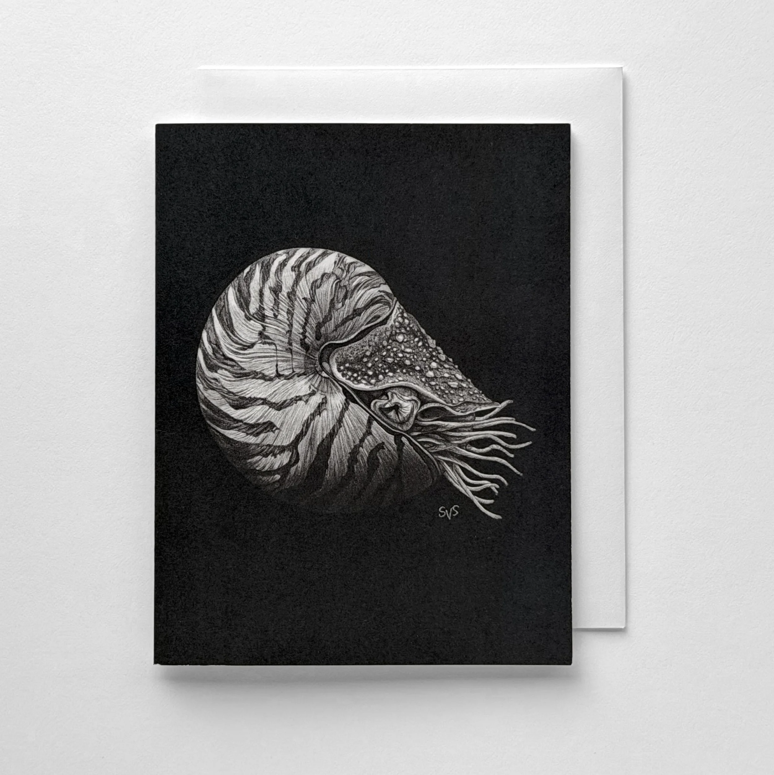 Chambered Nautilus (Card Set)