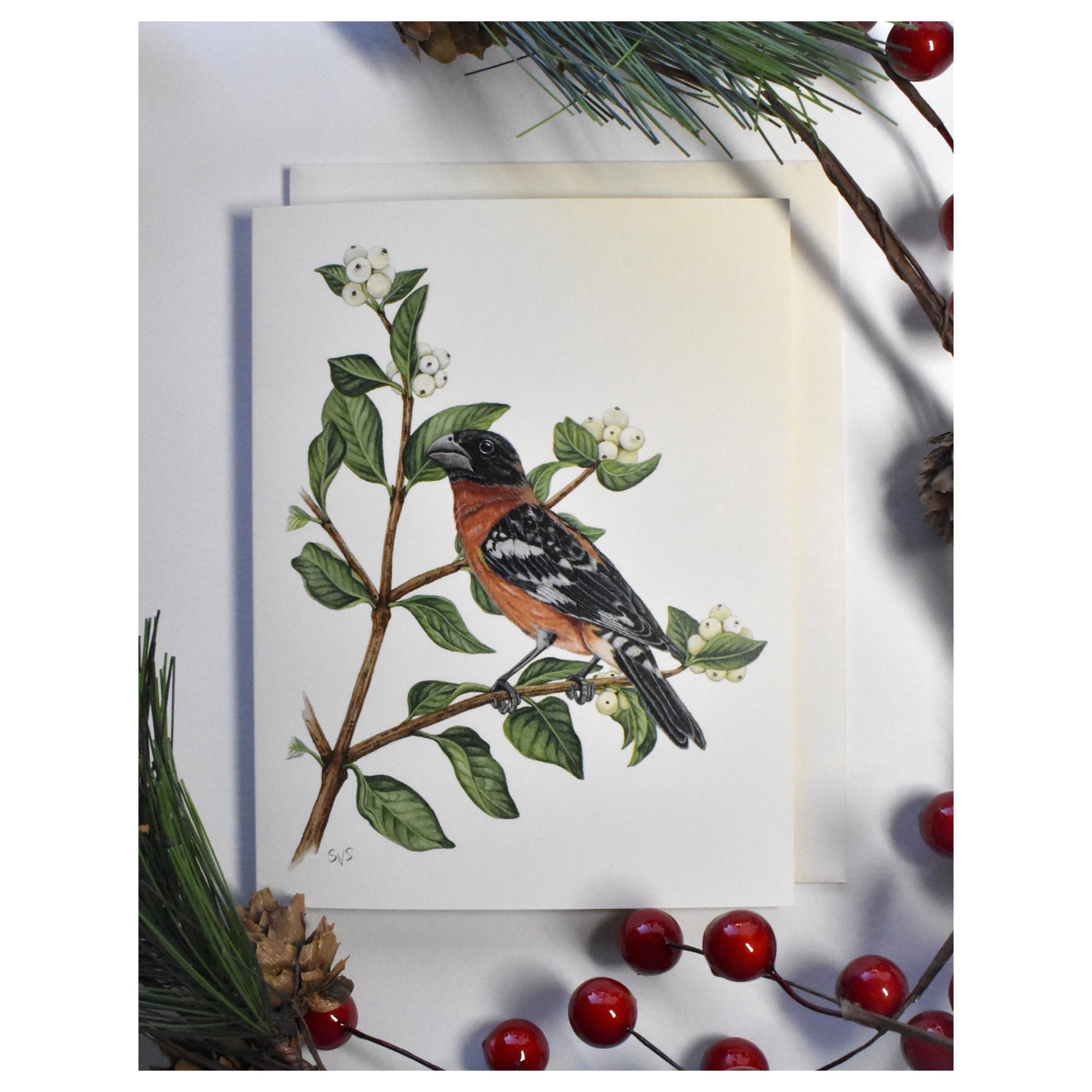 bh grosbeak card for website.jpg
