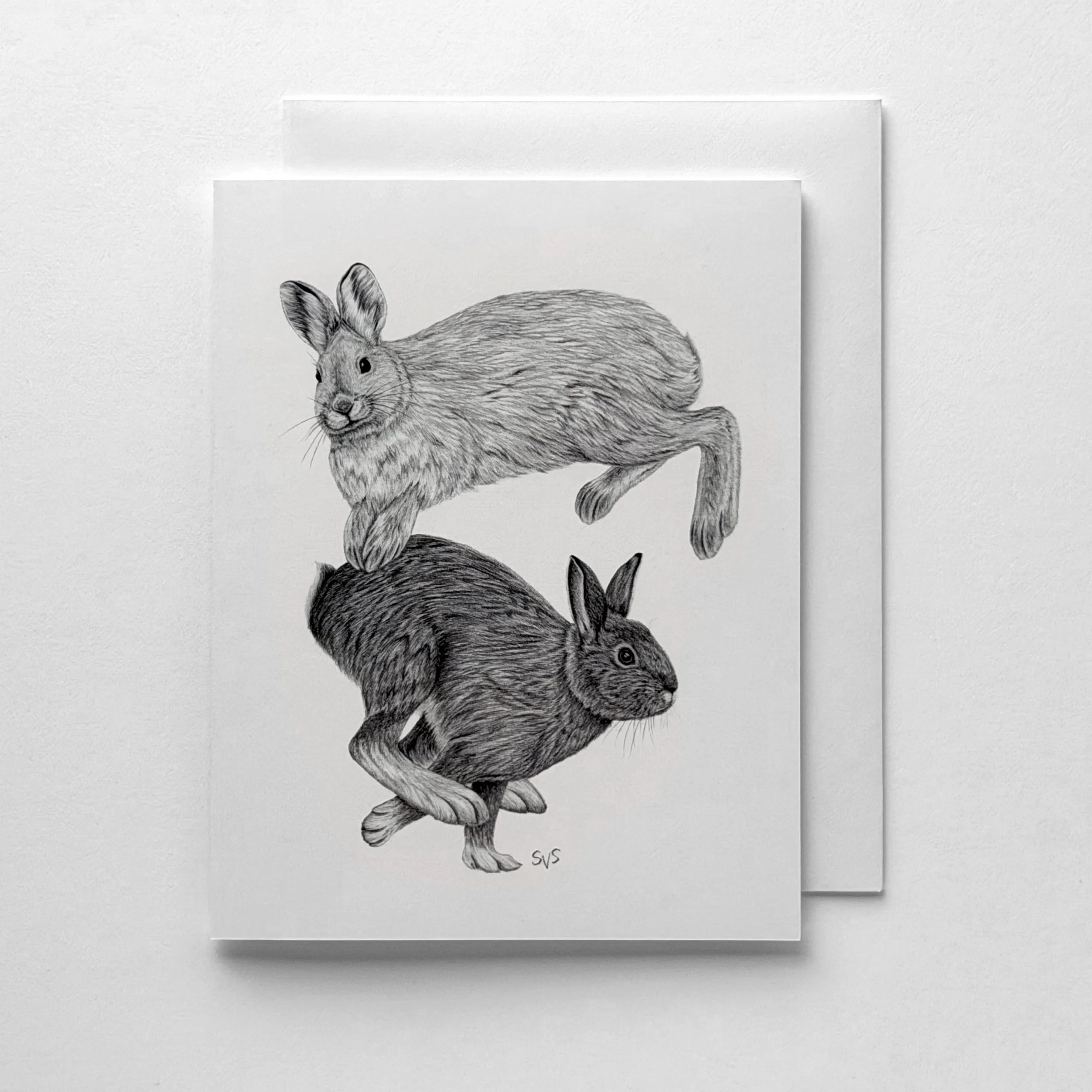 Snowshoe Hare (Card Set)