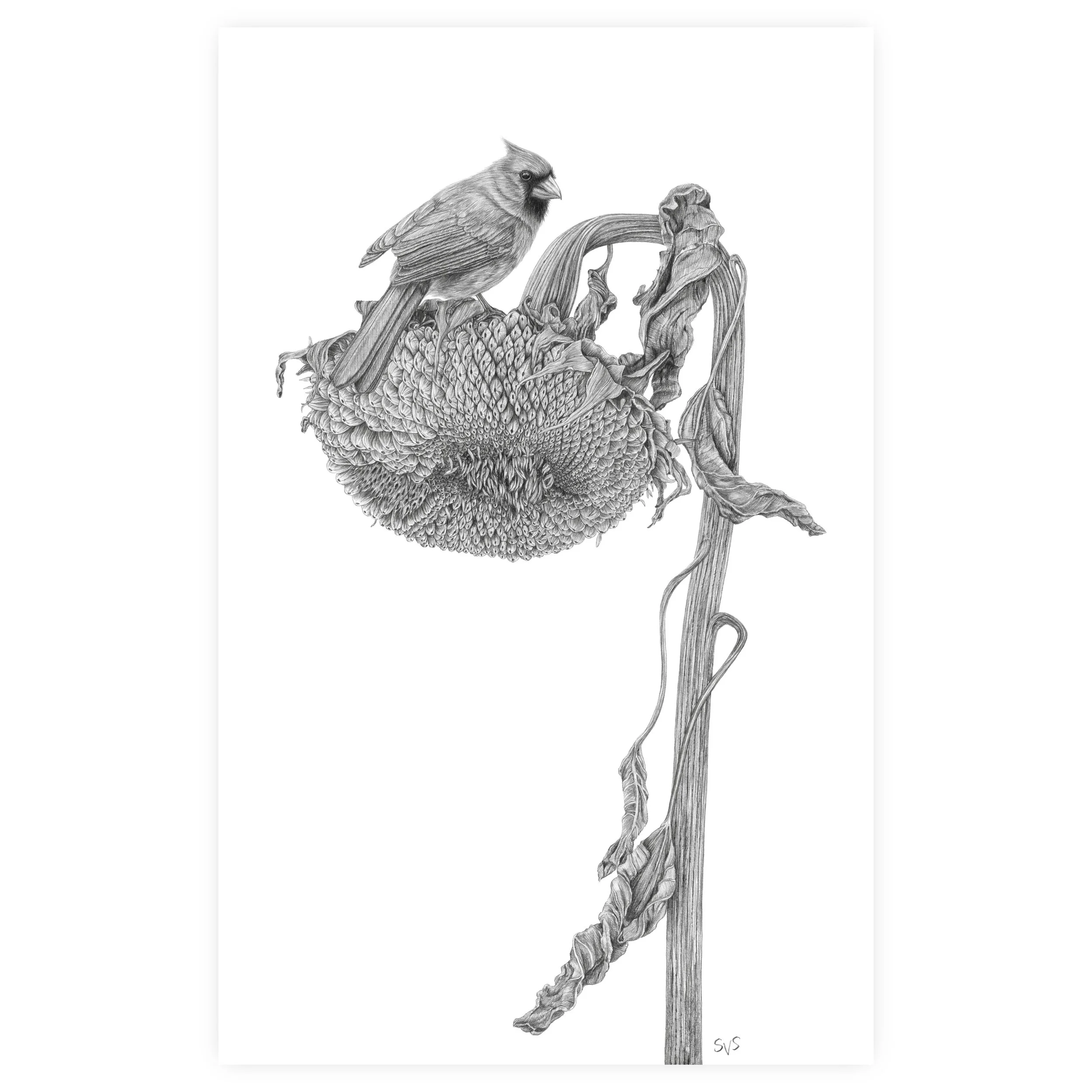 afternoon tea for website.jpg