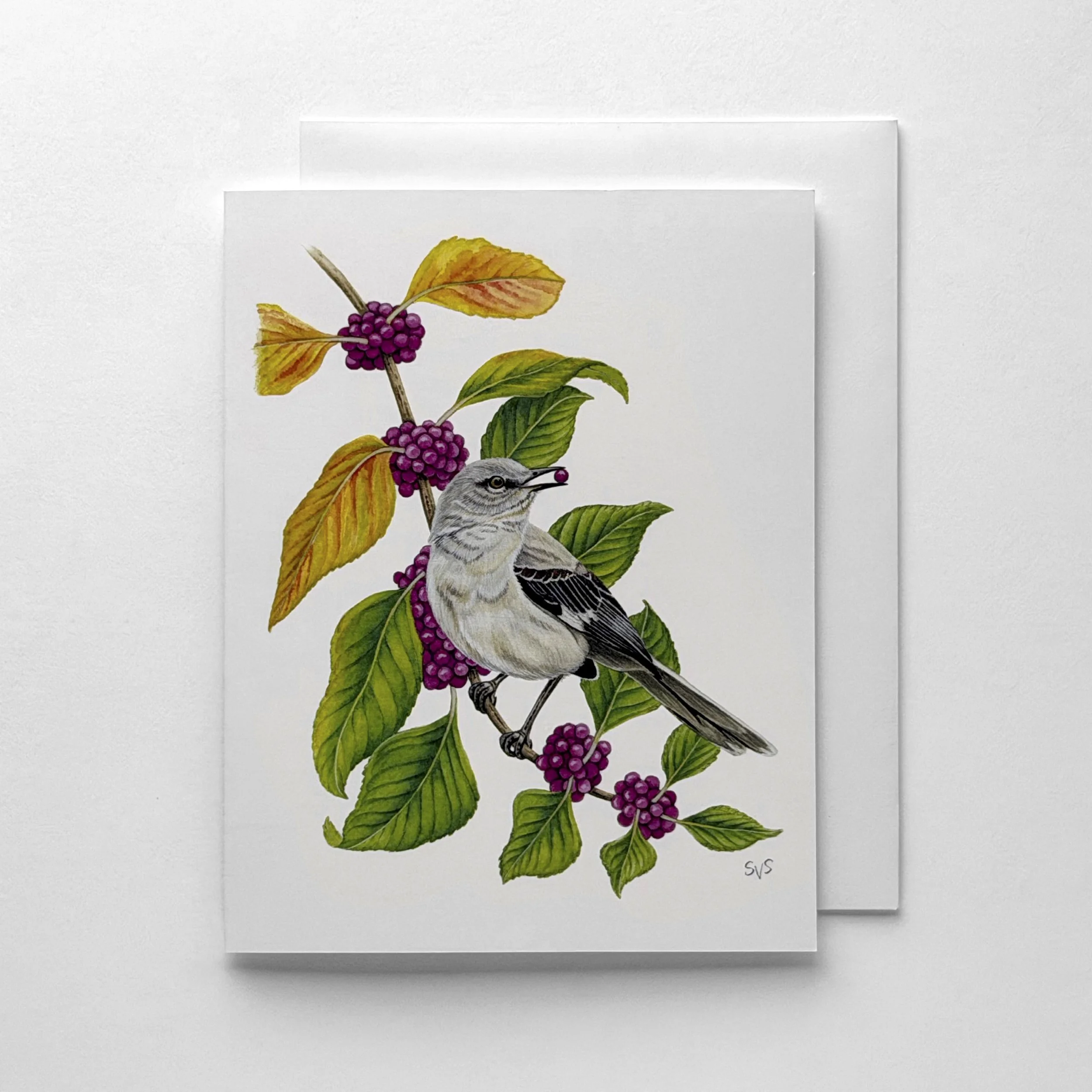 Northern Mockingbird & American Beautyberry (Card Set)