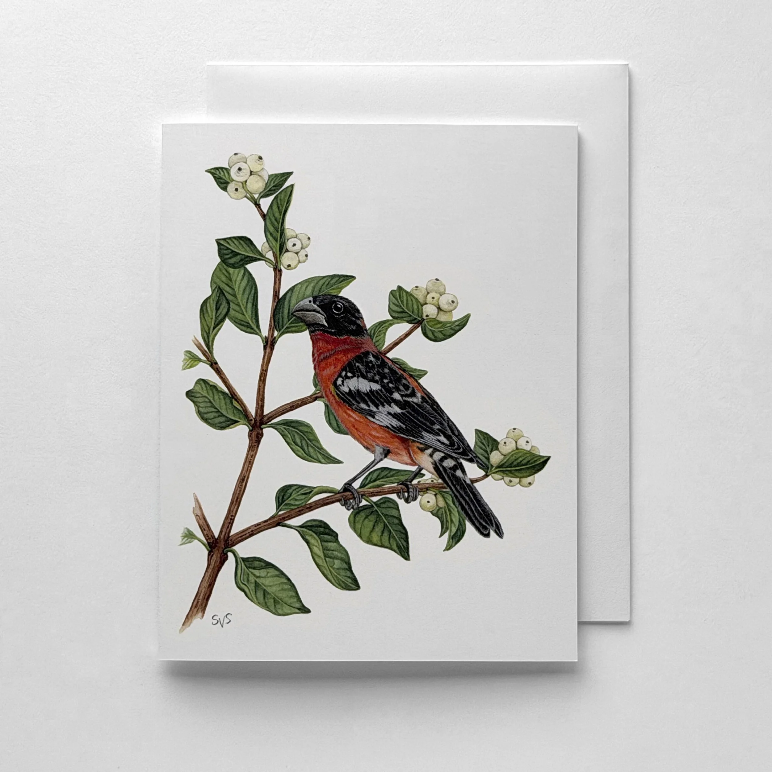 Black-headed Grosbeak & Common Snowberry (Card Set)