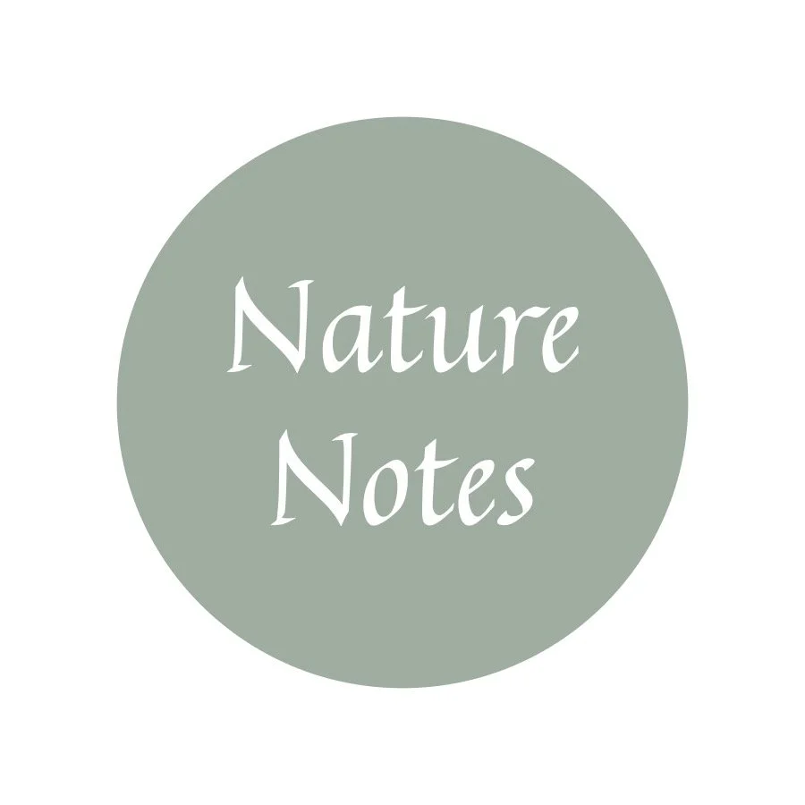 nature notes sticker for website.jpg