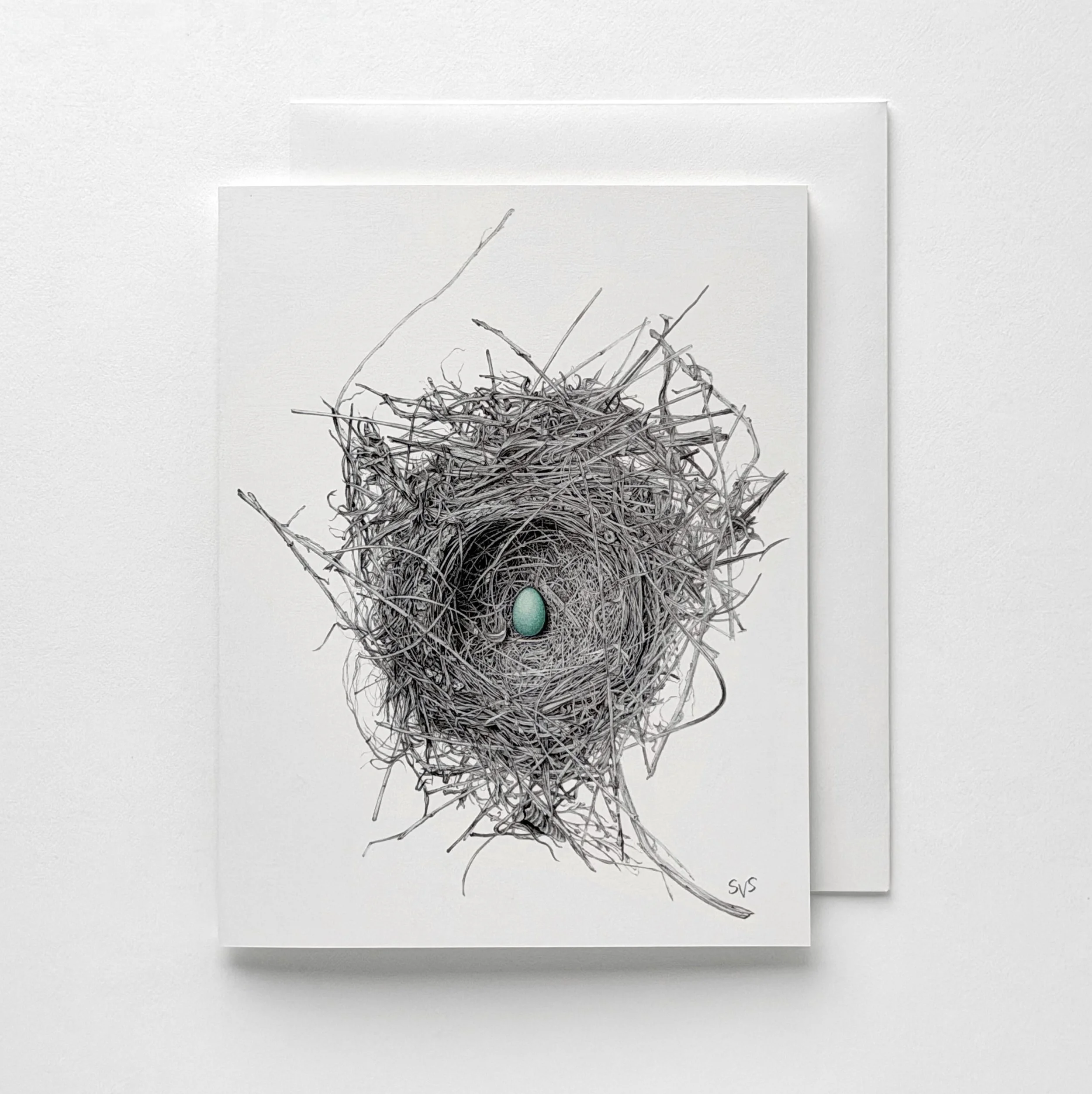 American Robin Nest & Egg (Card Set)