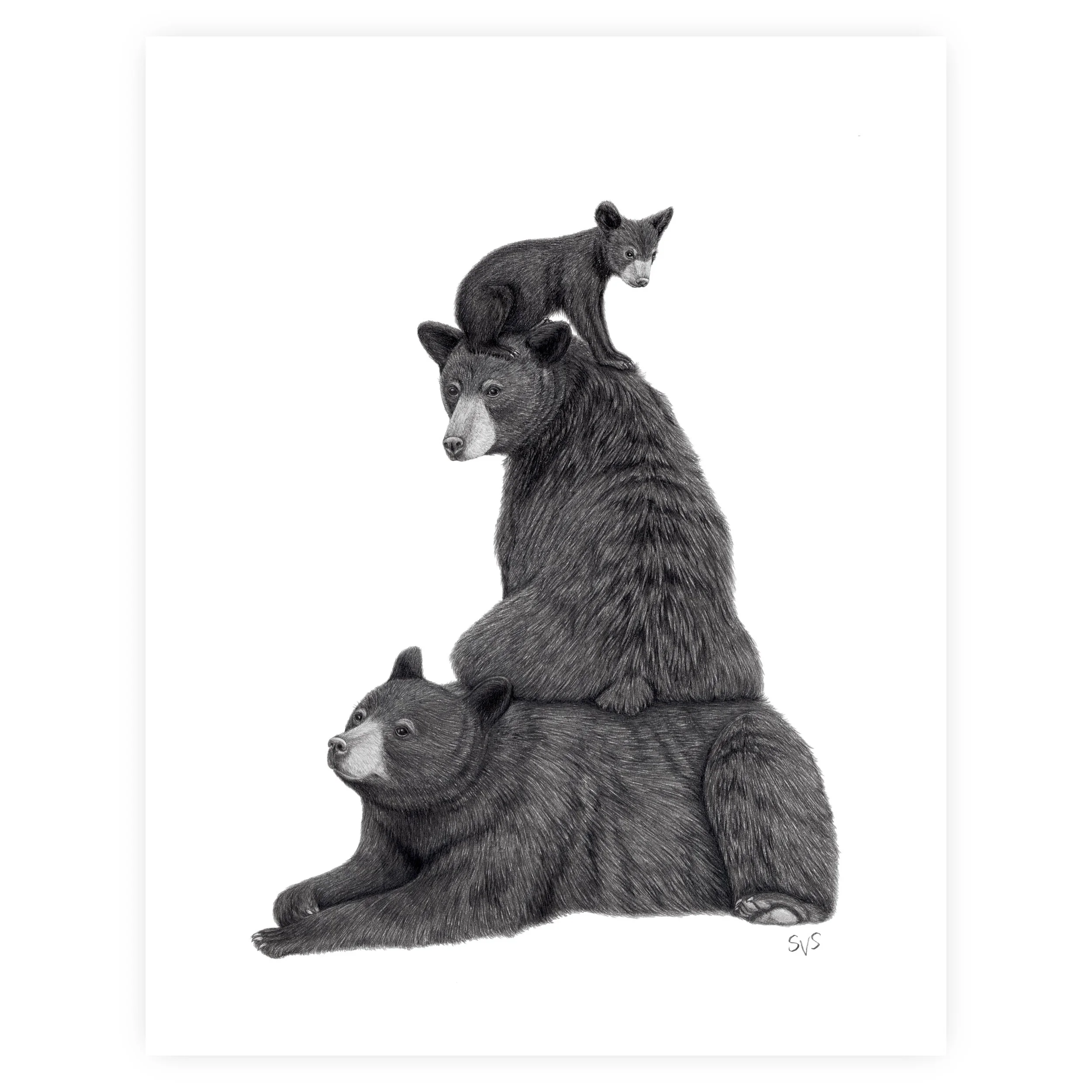 black bear butte for website.jpg