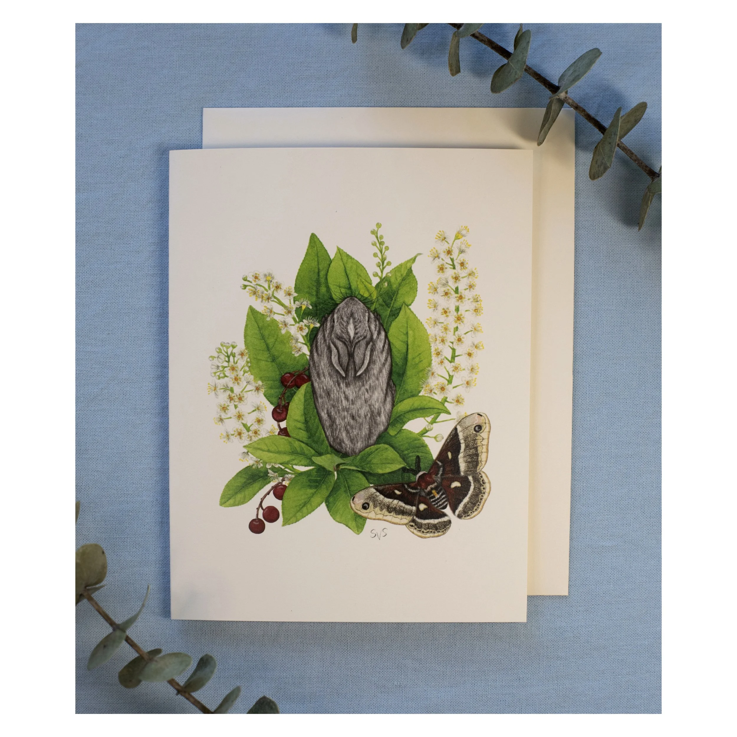 baby & moth card for website.jpg
