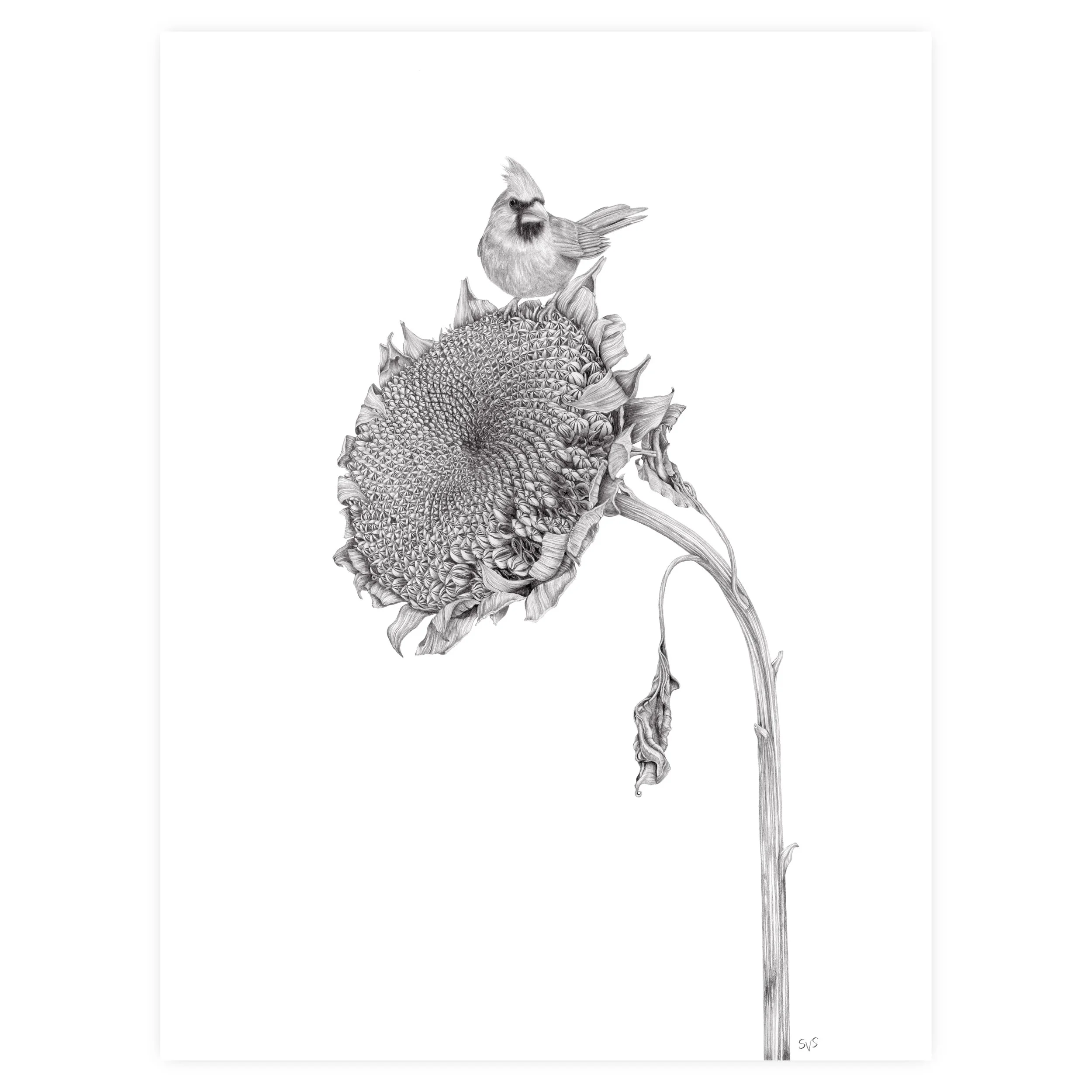 lunch for website.jpg