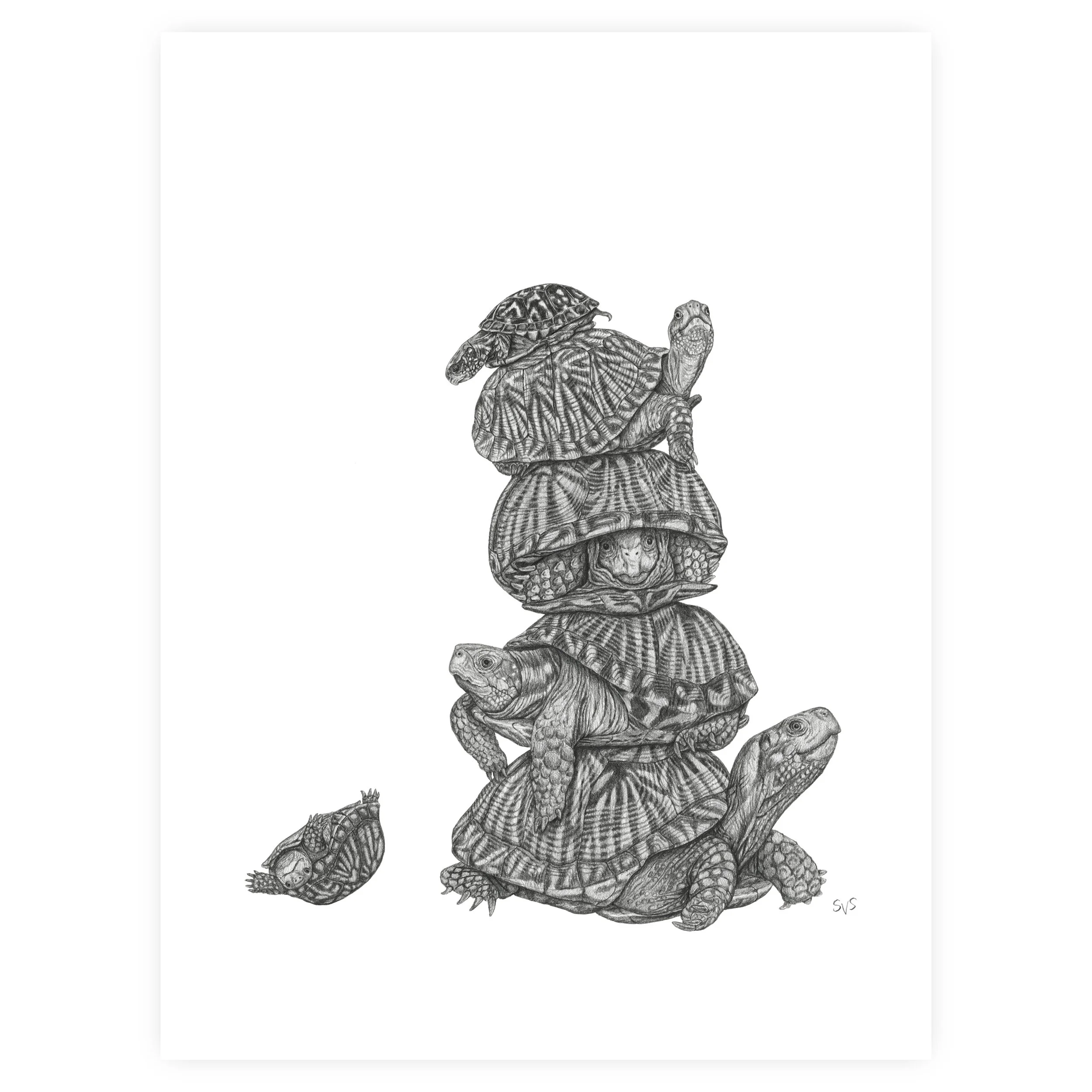 turtle tower for website.jpg