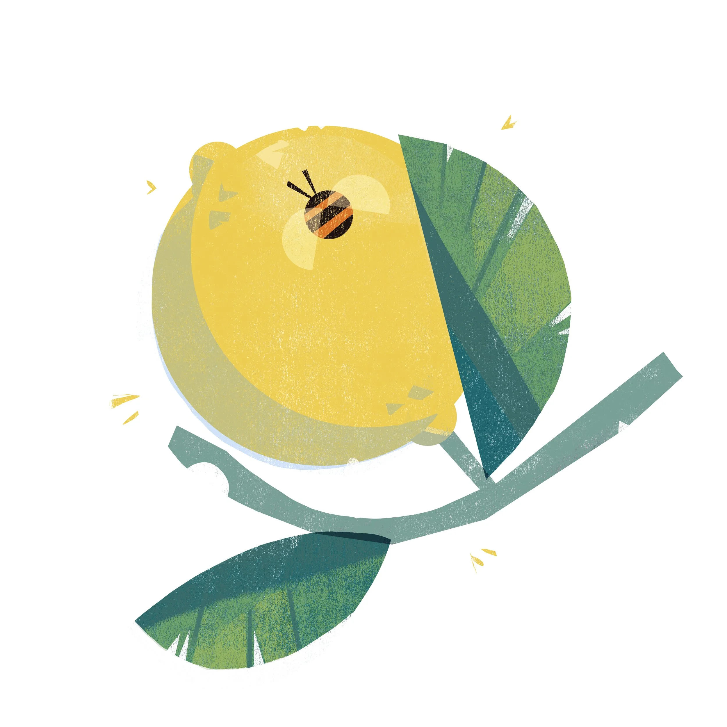 lemon_darker.jpg