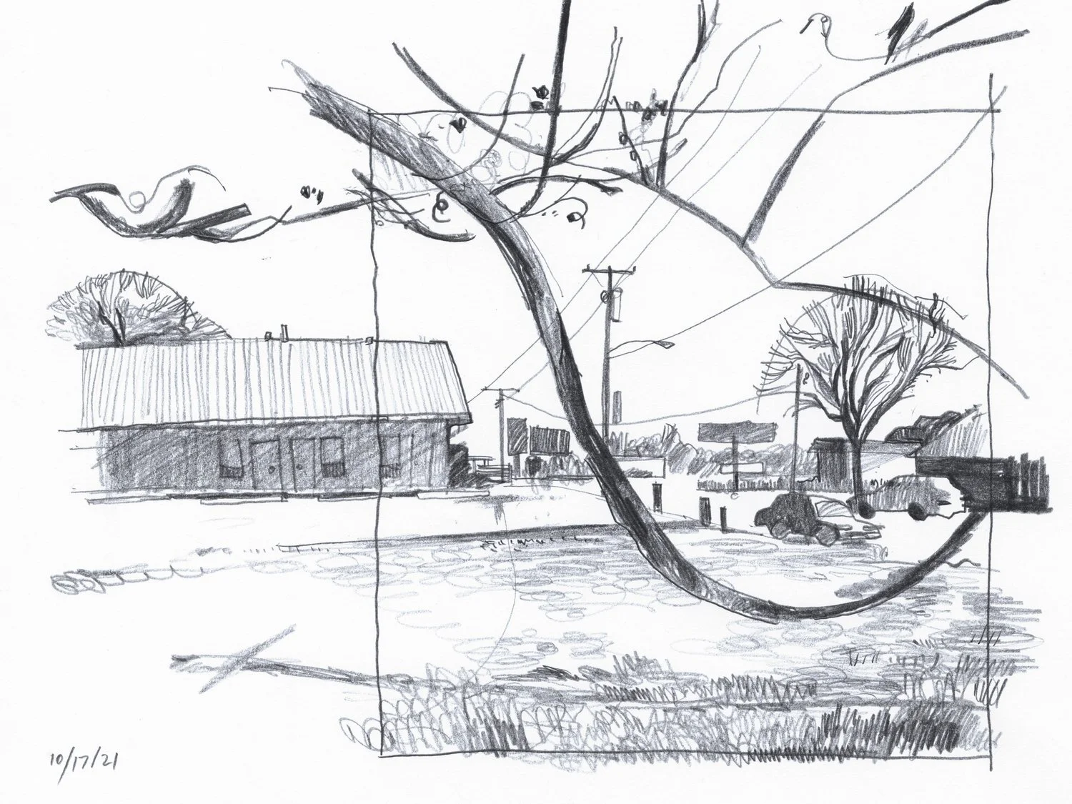 35_Thumbnails_windingbranch.jpg