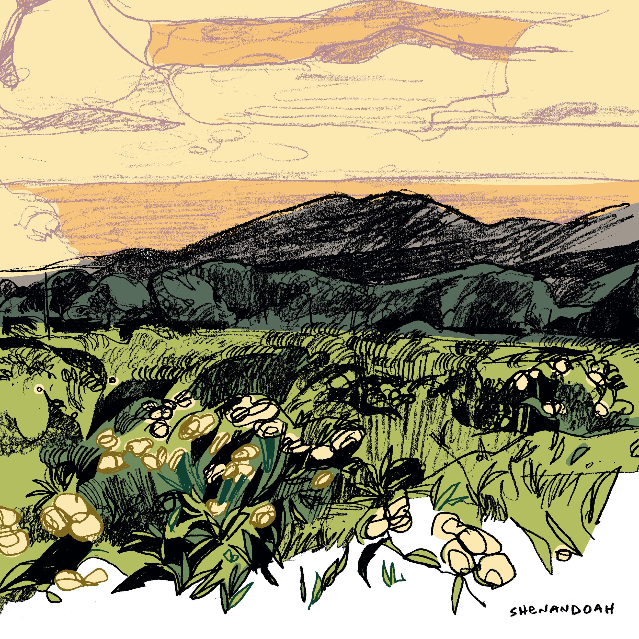 240406 - SKETCHBOOK.jpg