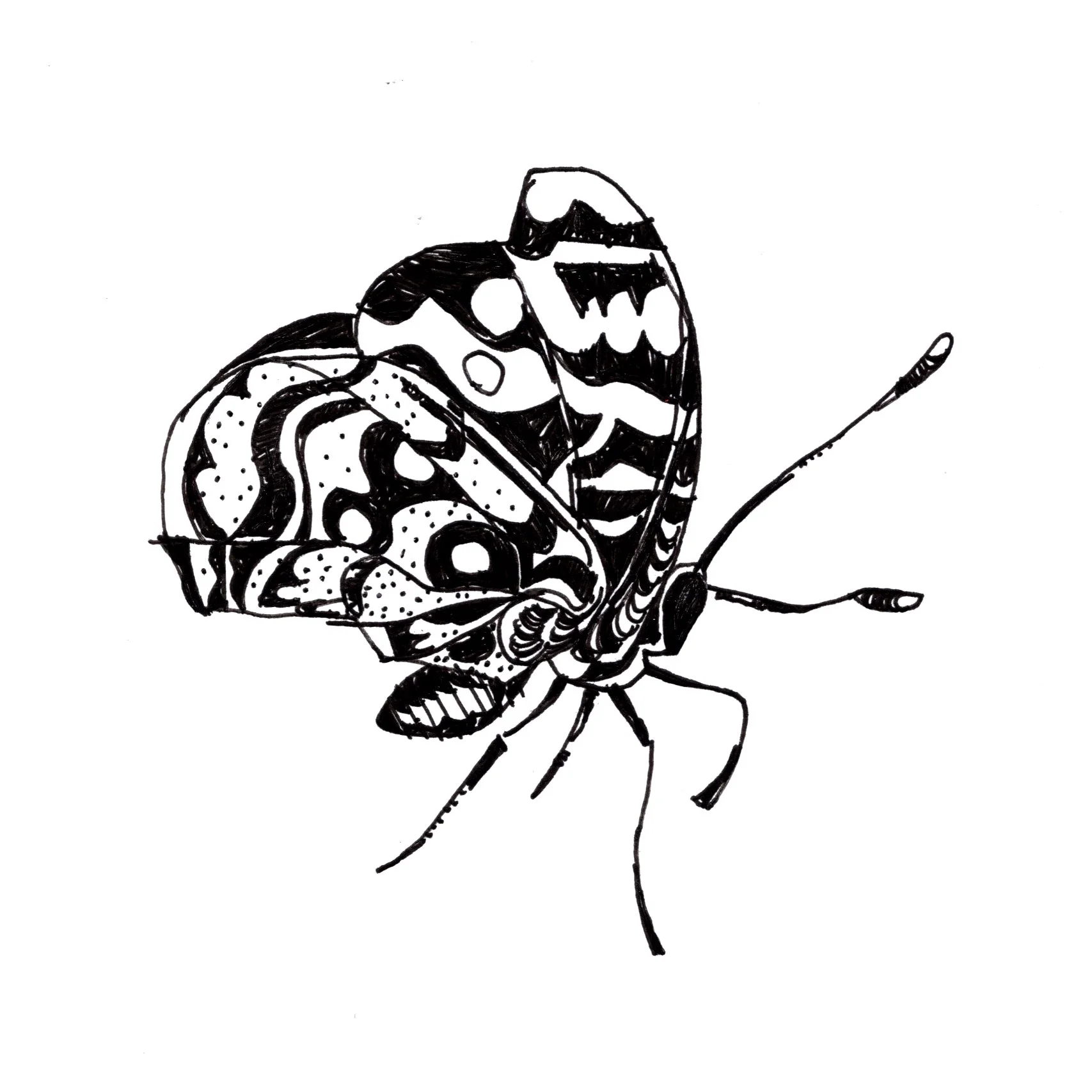 2022_3_2_inkycritters_2.jpeg