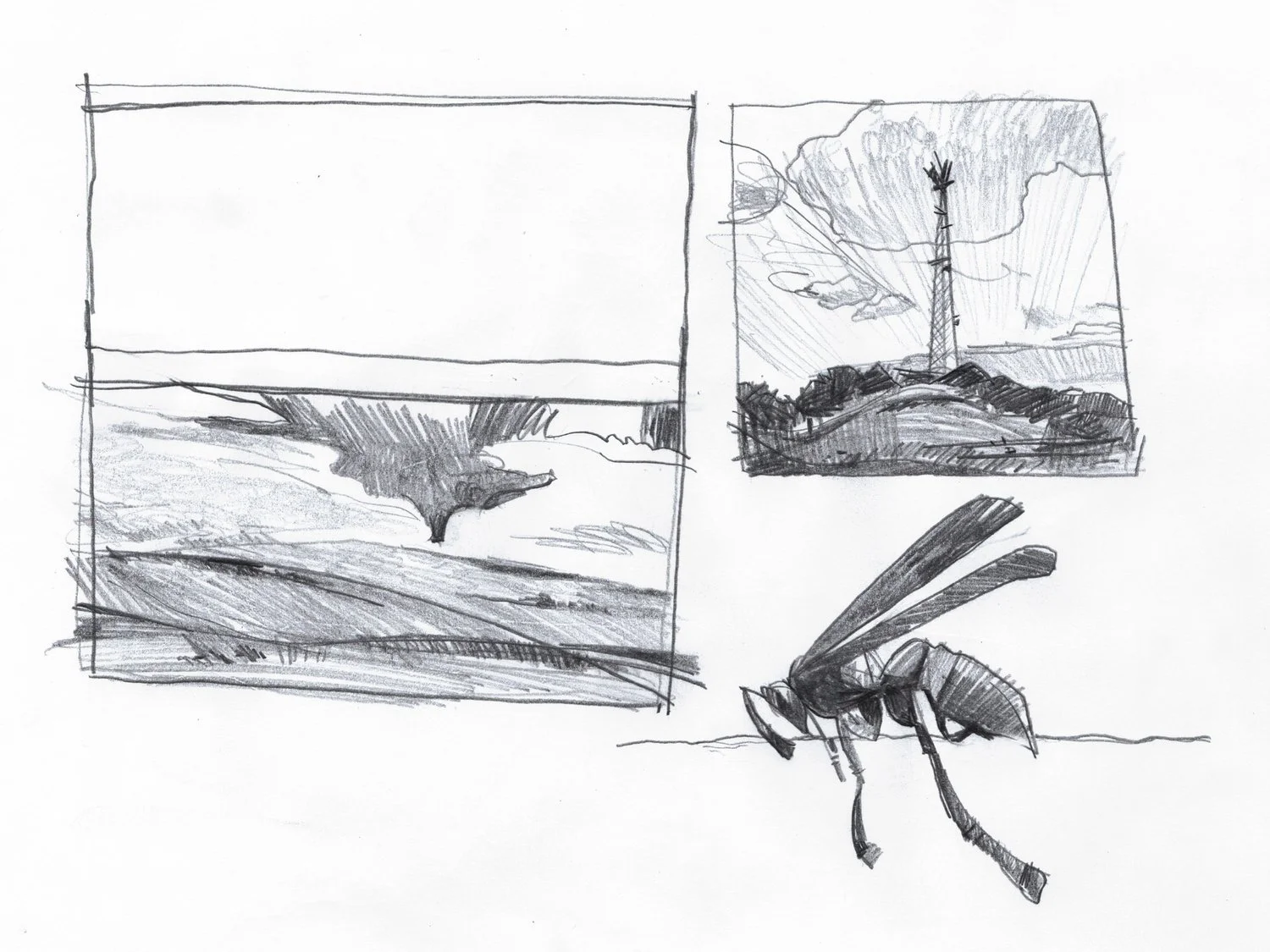 5_Thumbnails_Wasp.jpg