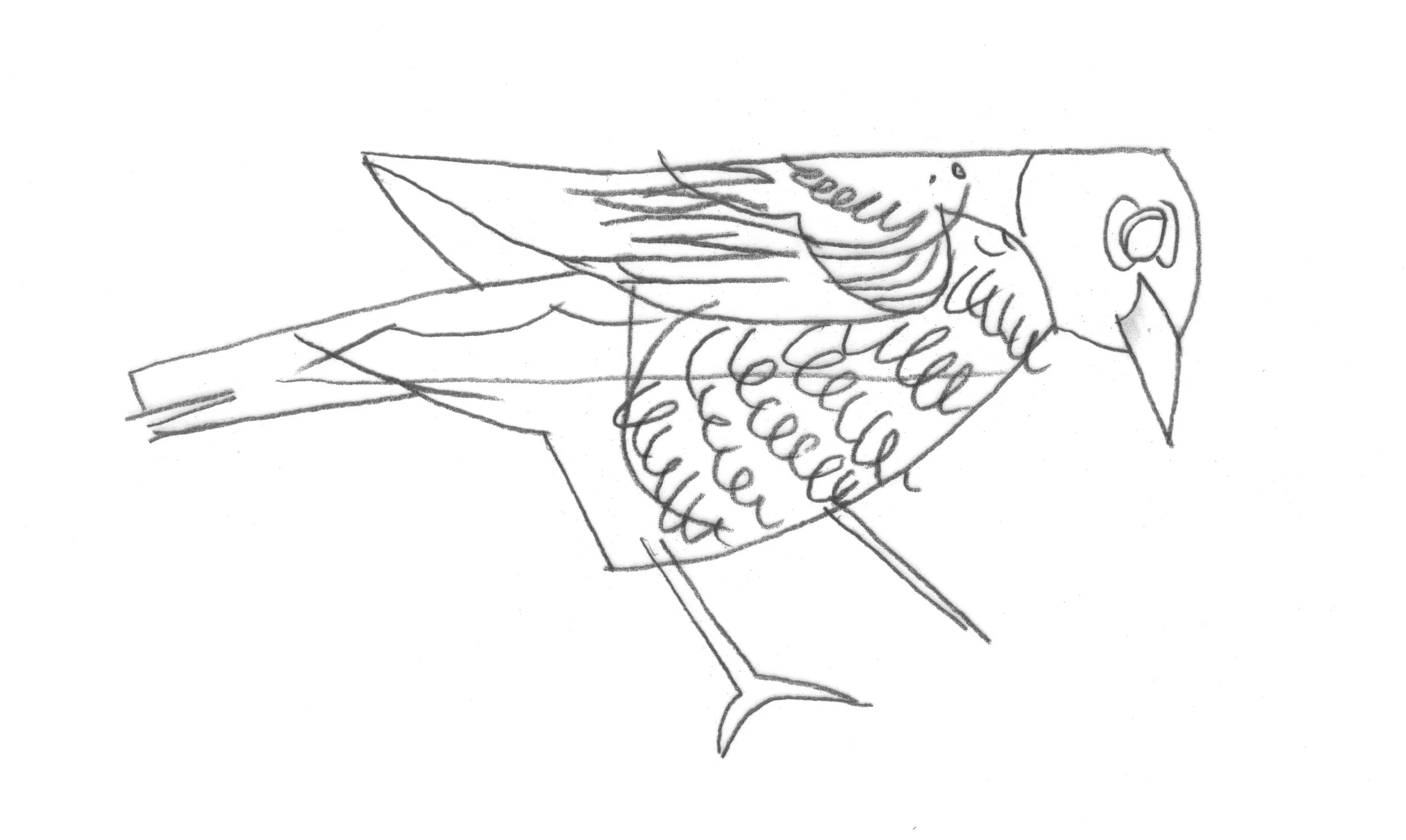 2023_05_14_robins 1.jpg