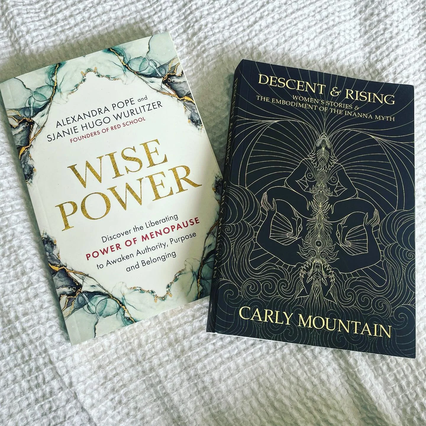 Two books I will begin reading
1) Wise Power: Discover the Liberating Power of Menopause to Awaken Authority, Purpose and Belonging by Alexandra Pope &amp; Sjanie Hugo Wurlitzer 

2) Decent &amp; Rising: Women&rsquo;s Stories &amp; The Embodiment of 