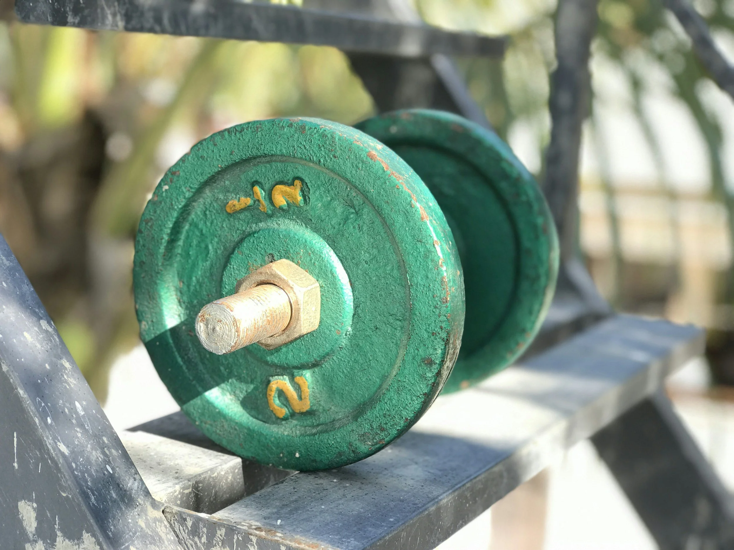 Can Youth Powerlift?