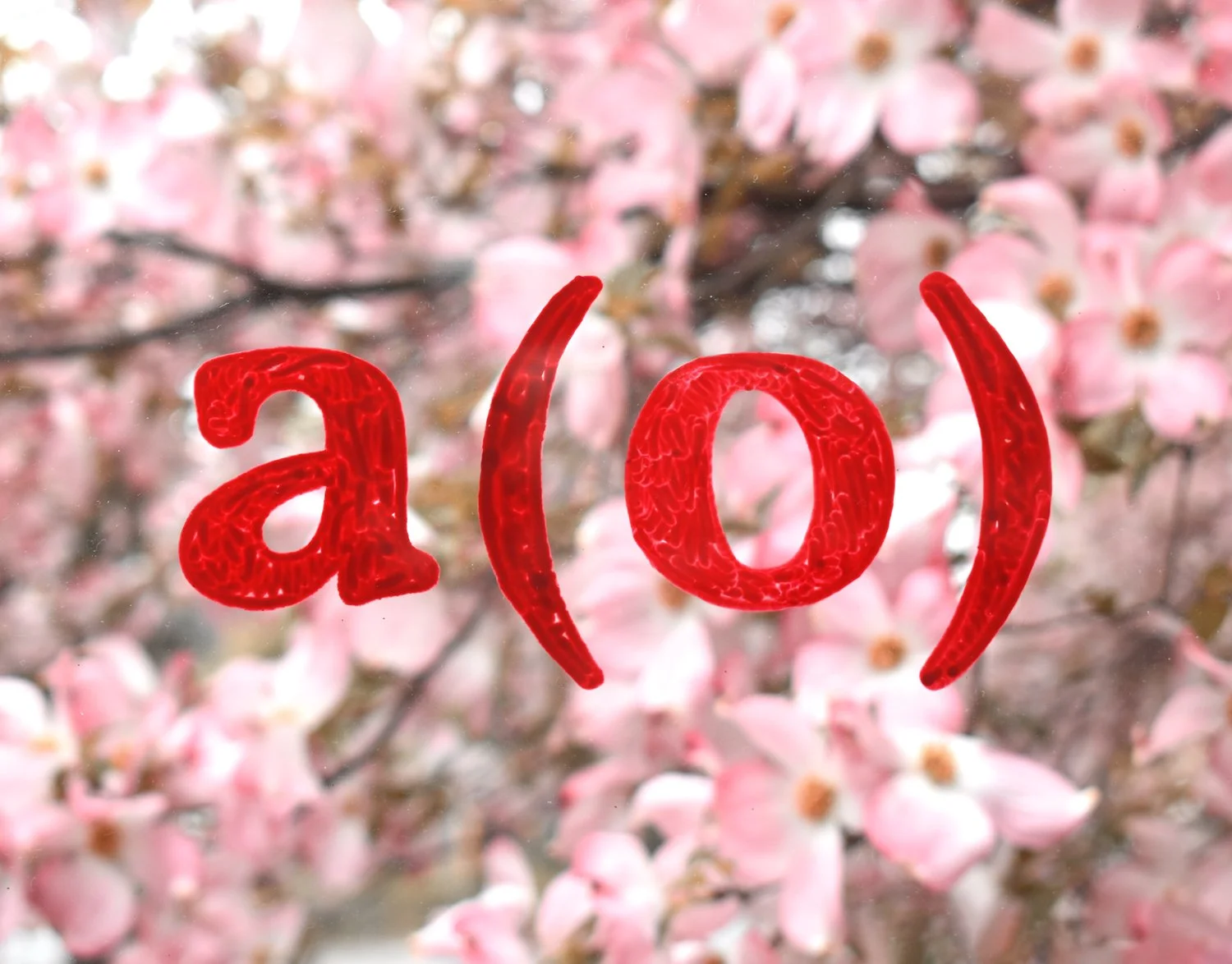 AO_Blooms-Pink.jpg