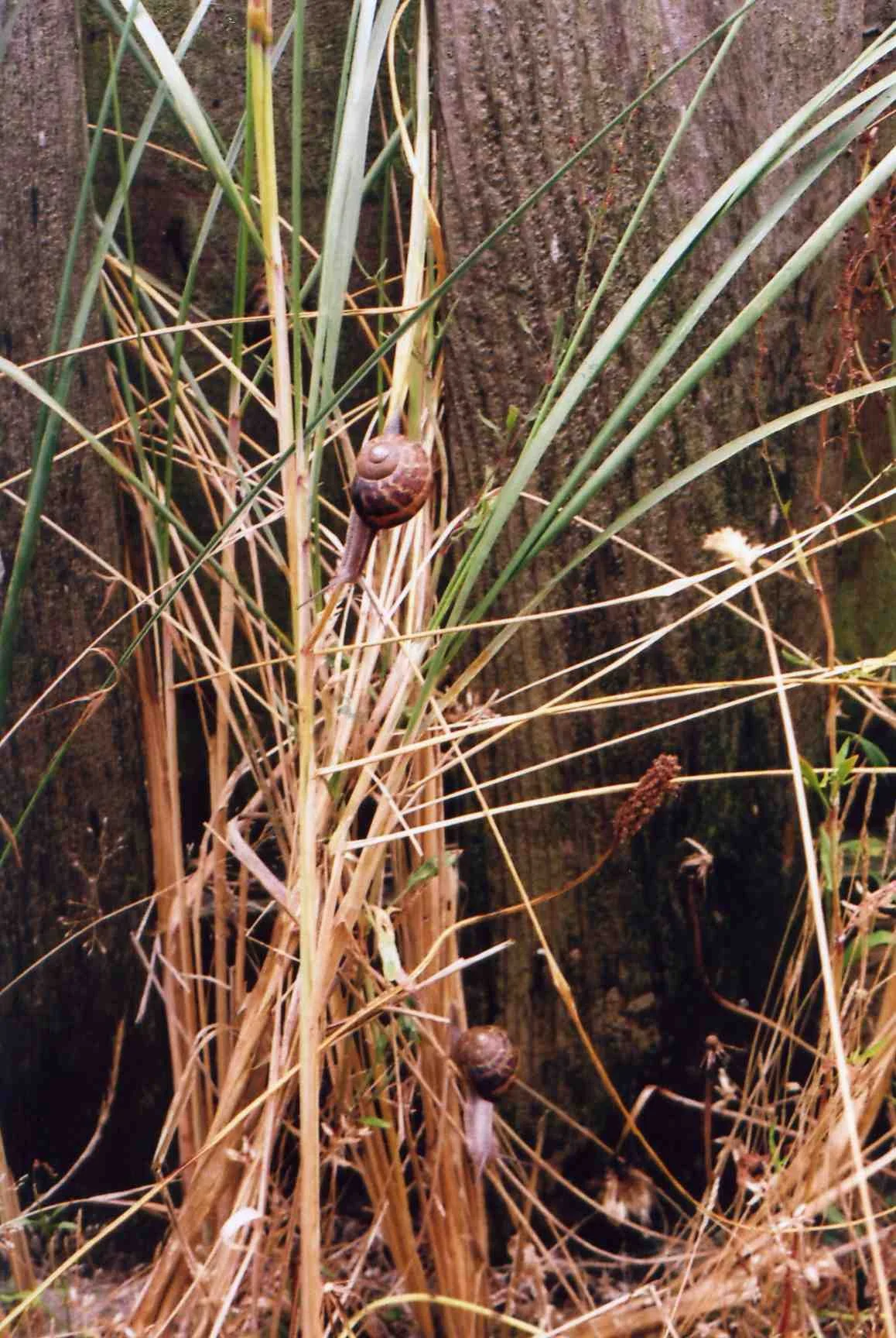img134.jpg